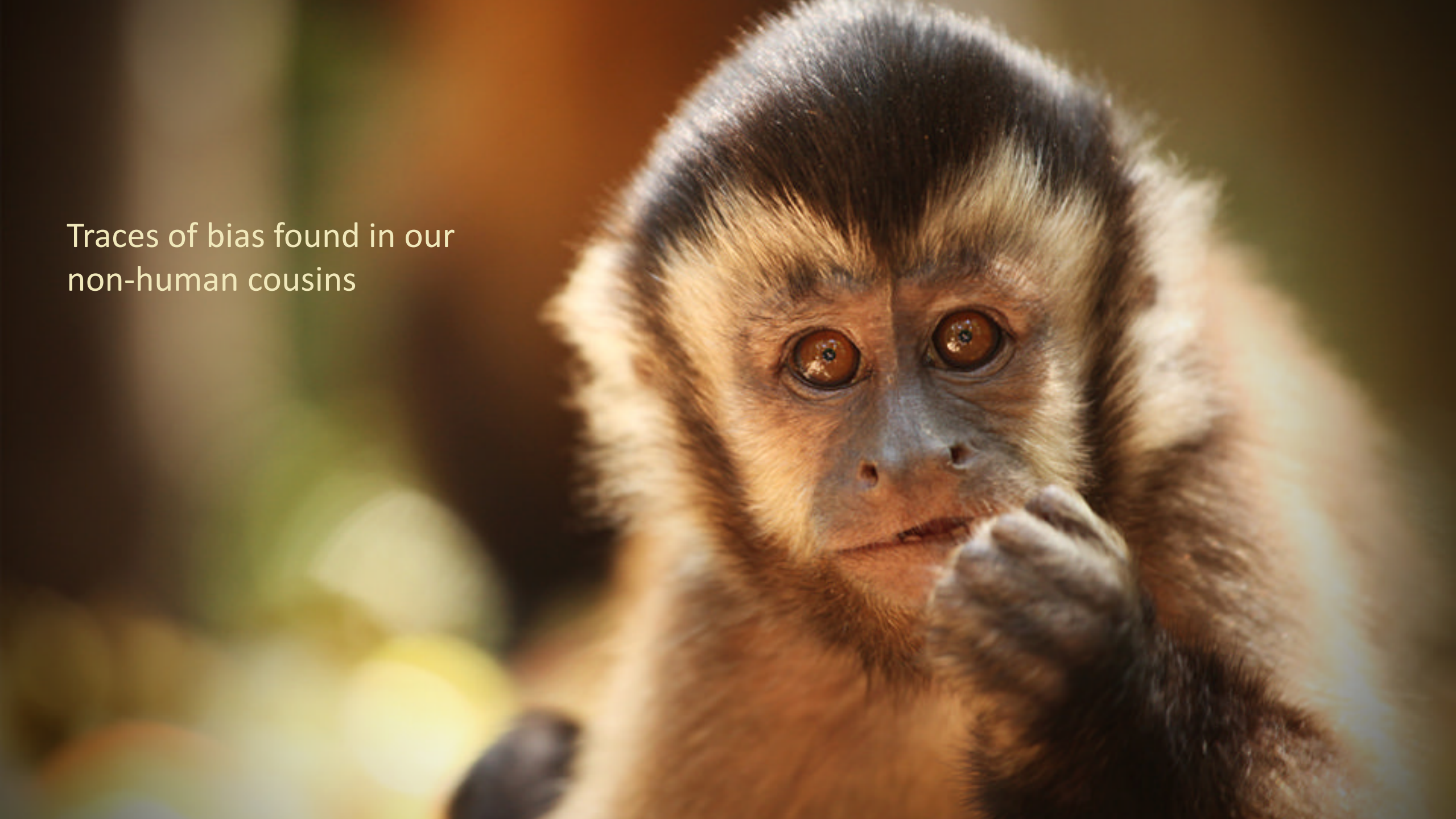 Crushing+Biases+Why+the+Digital+Identity+Industry+Needs+Diversity_ITIL之家(www.itilzj.com)_.PDF 第5页