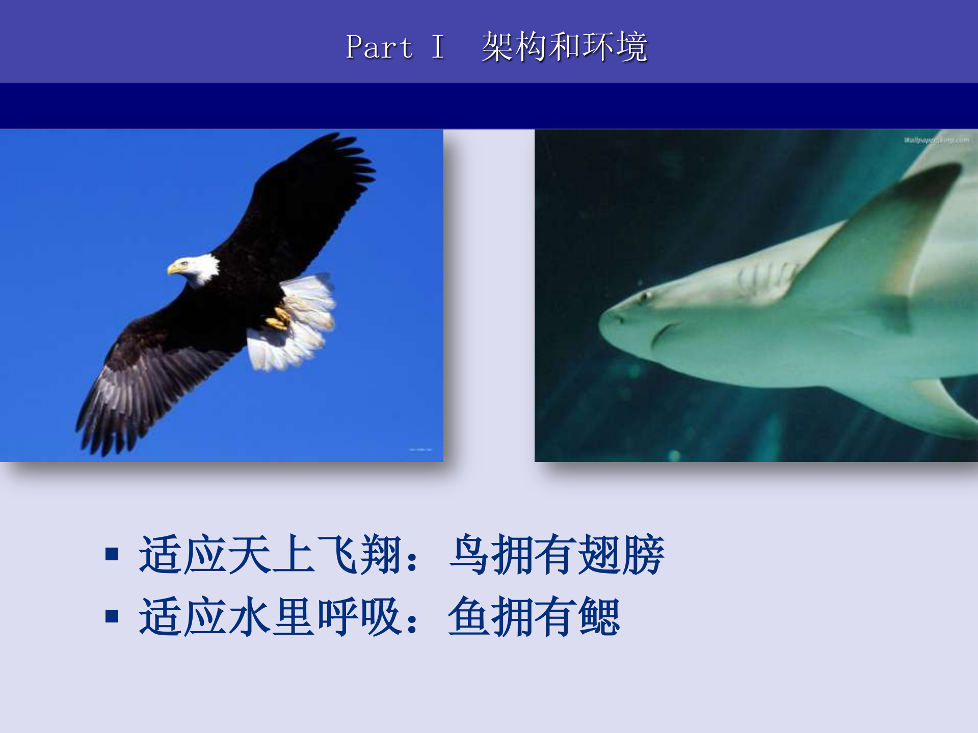 从优酷网浅谈大型网站的架构和优化_ITIL之家(www.itilzj.com)_.PDF 第3页