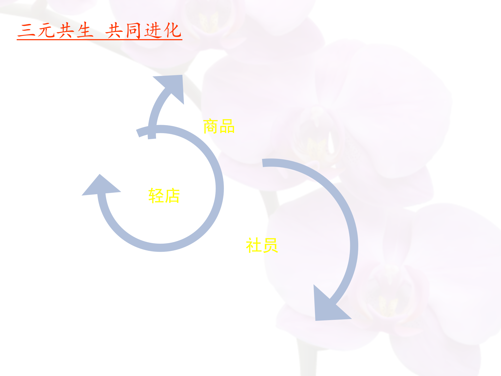 O2O：轻店、社员与商品的螺旋_ITIL之家(www.itilzj.com)_.PPTX 第6页
