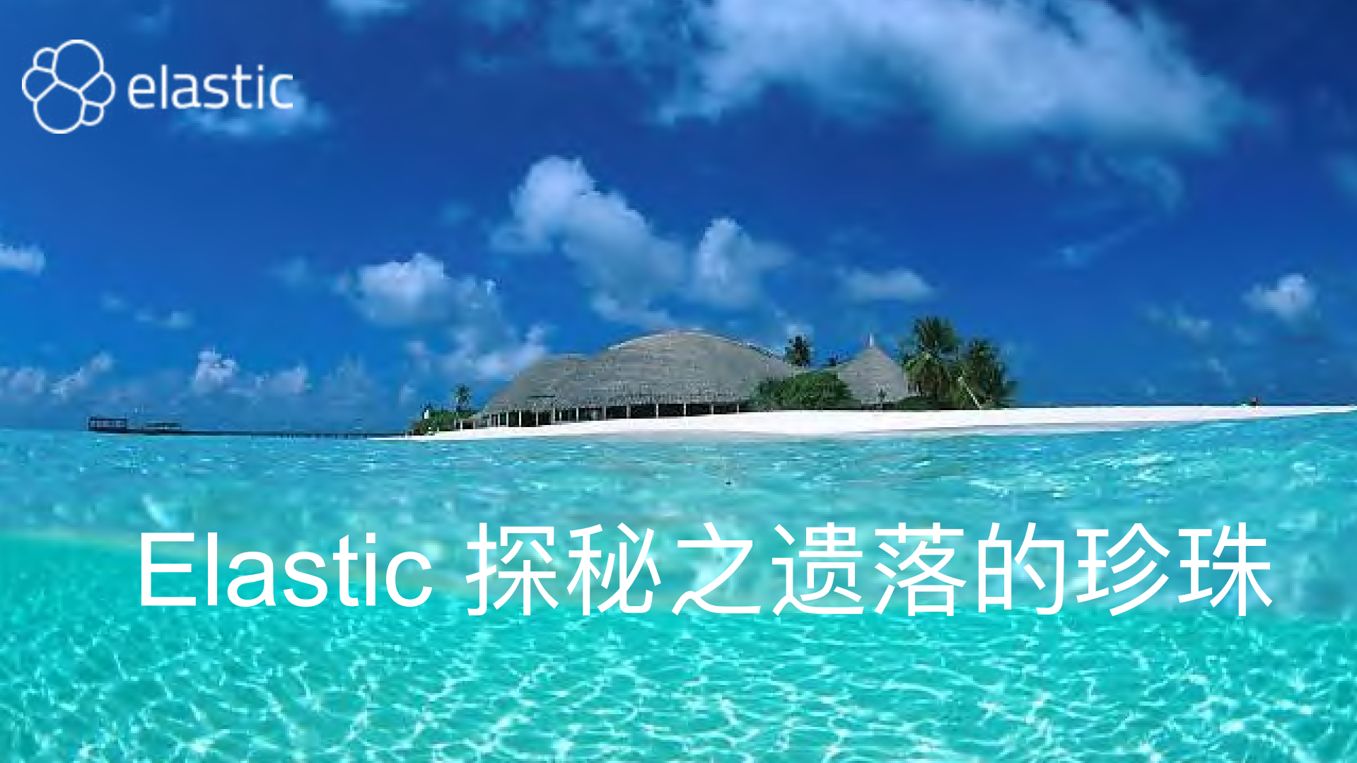 Elastic+探秘之遗落的珍珠_ITIL之家(www.itilzj.com)_.PDF 第1页