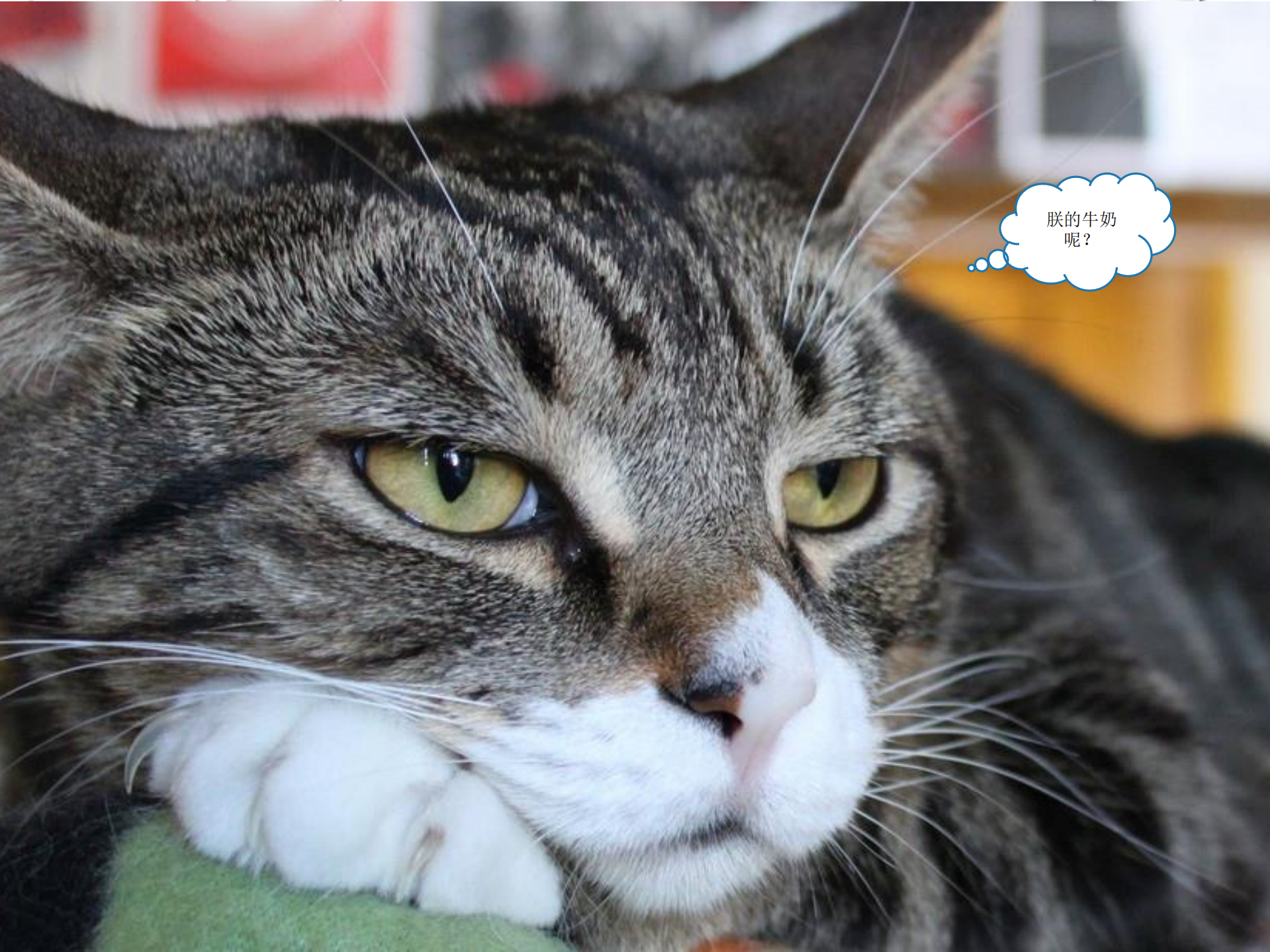 沪江Docker落地实践_ITIL之家(www.itilzj.com)_.PDF 第4页