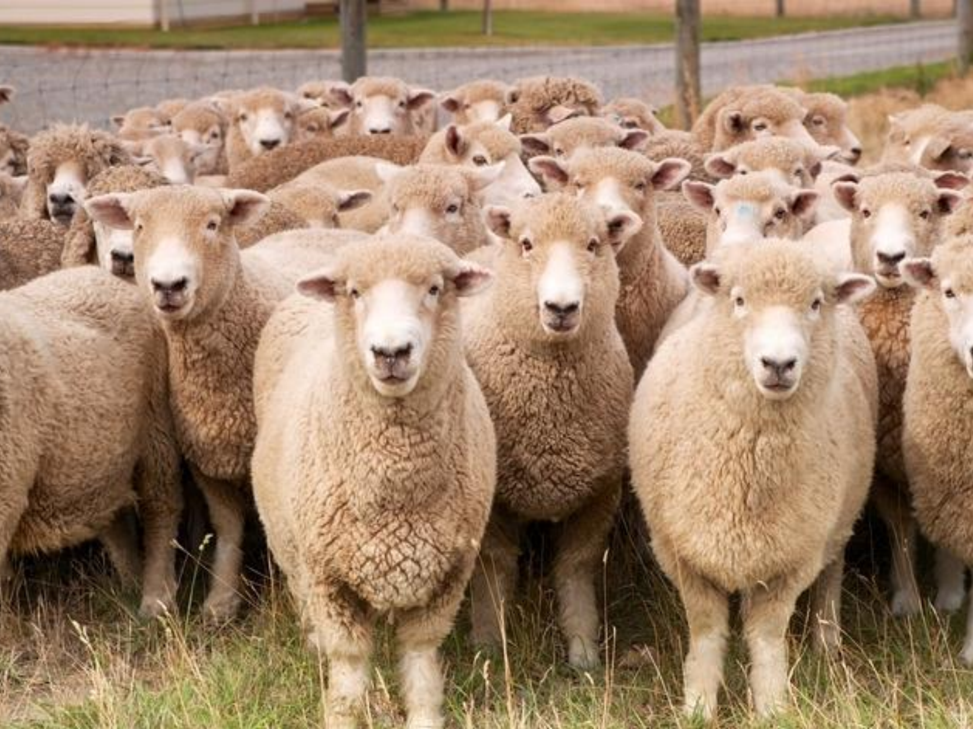 沪江Docker落地实践_ITIL之家(www.itilzj.com)_.PDF 第6页