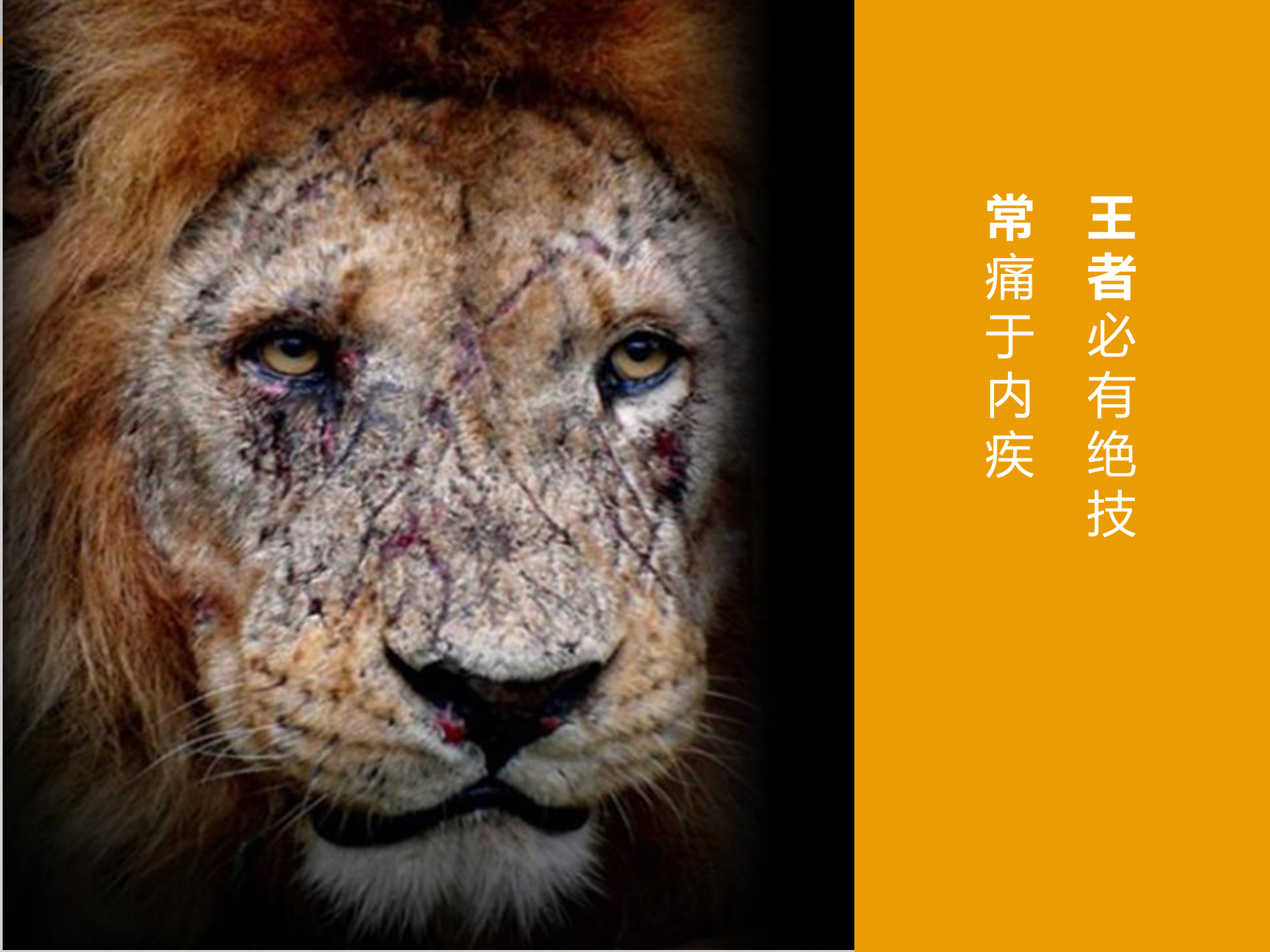 信息化助理企业风险控制_ITIL之家(www.itilzj.com)_.PDF 第5页