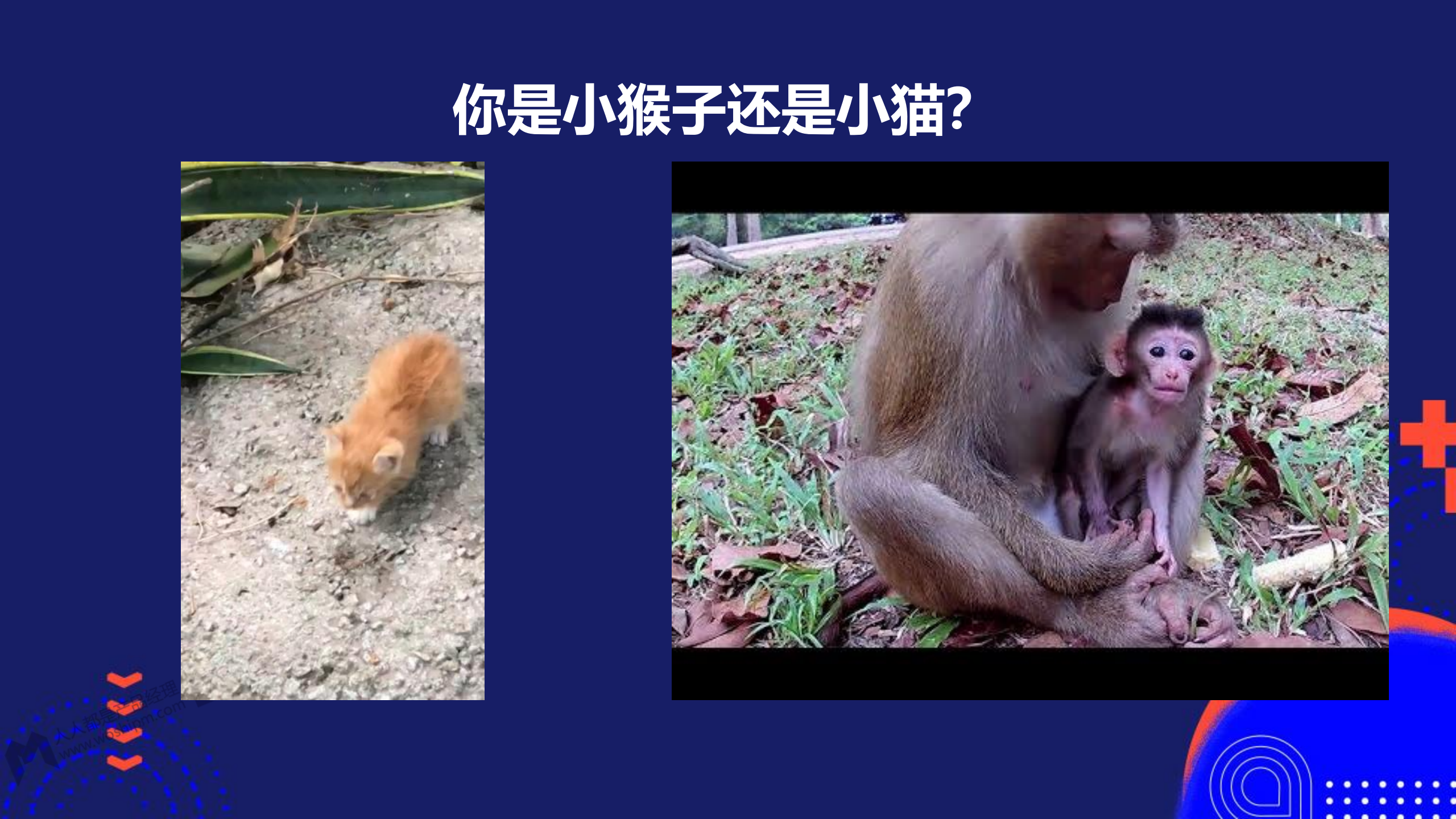 创新方法论_ITIL之家(www.itilzj.com)_.PDF 第2页