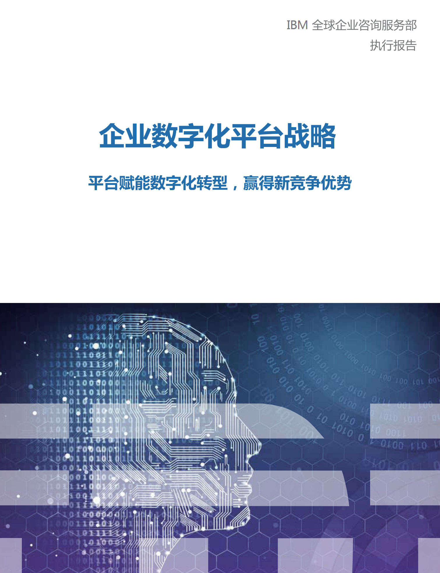 IBM企业数字化平台战略.pdf 第1页