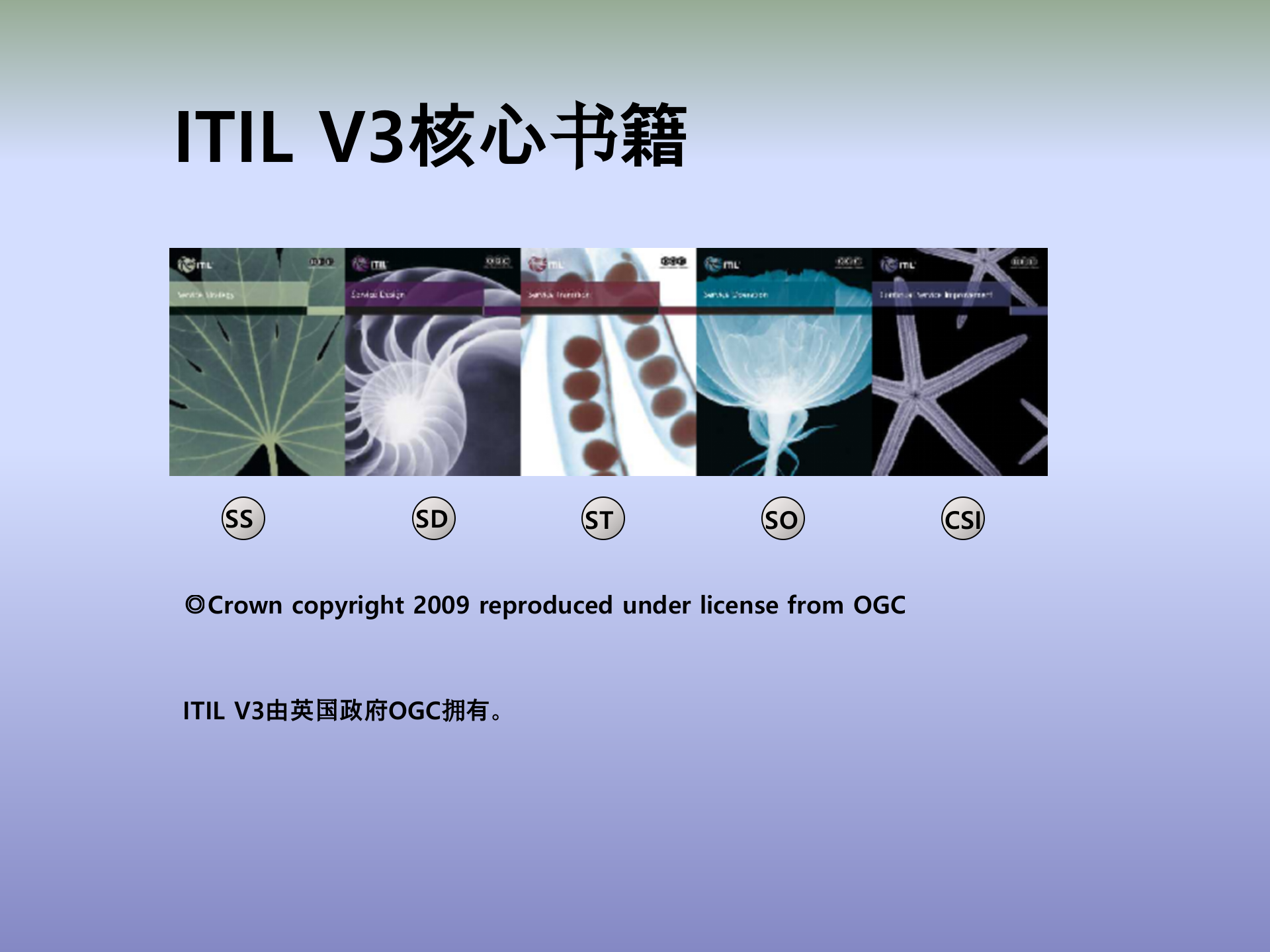 ITIL培训教程_ITIL之家(www.itilzj.com)_.ppt 第7页