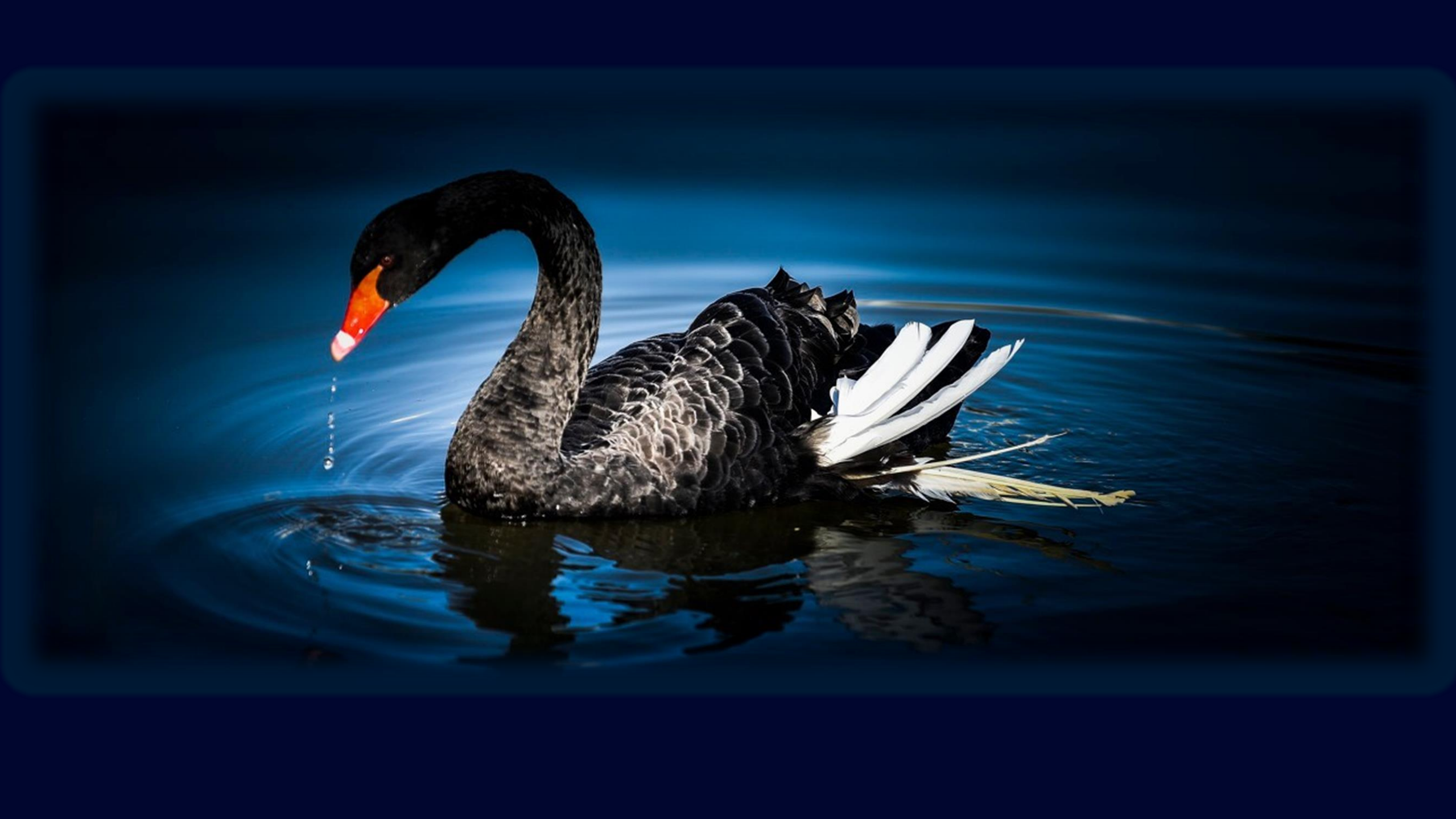 大型产品DevOps核心实践_ITIL之家(www.itilzj.com)_ (1).pdf 第4页