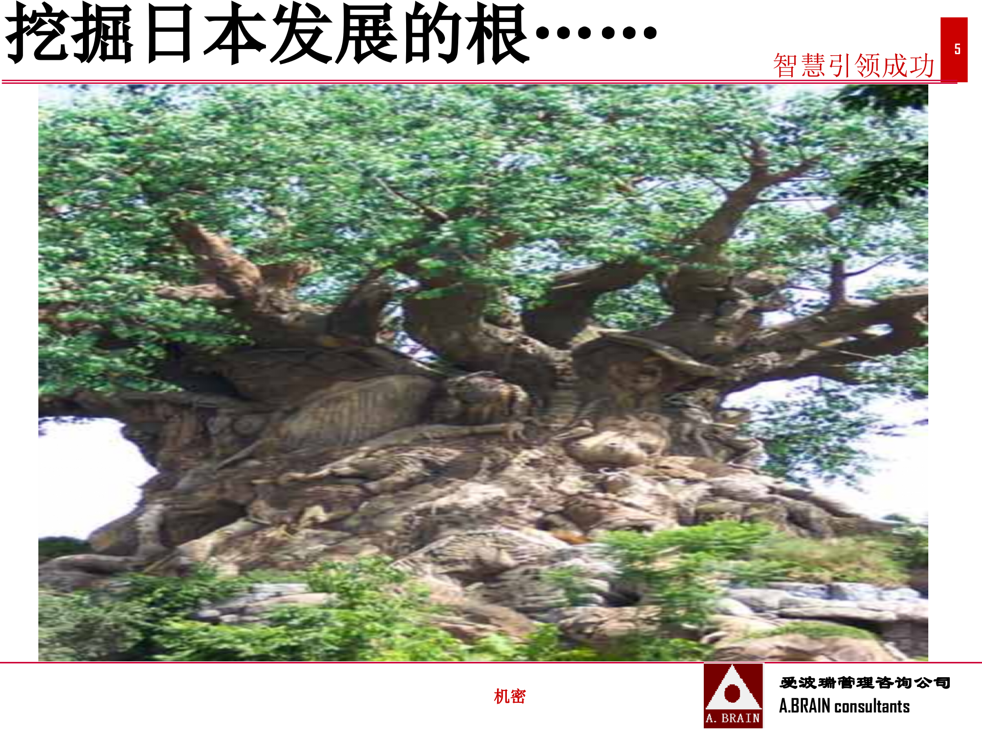 精益文化_ITIL之家(www.itilzj.com)_.PPTX 第5页