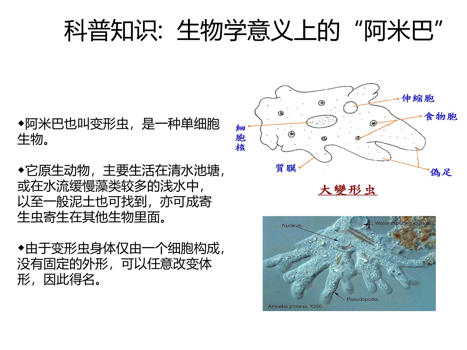 阿米巴的落地与推行_ITIL之家(www.itilzj.com)_.PPT 第3页