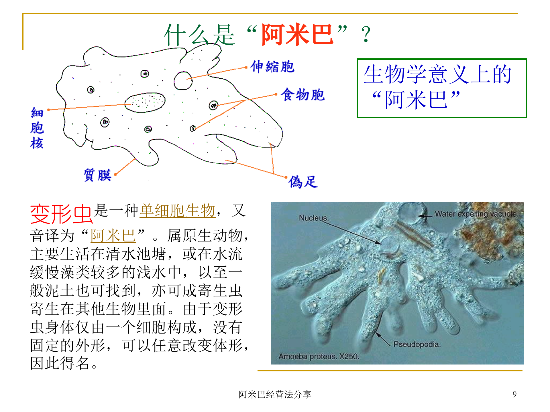 阿米巴经营模式诠释_ITIL之家(www.itilzj.com)_.PPTX 第9页