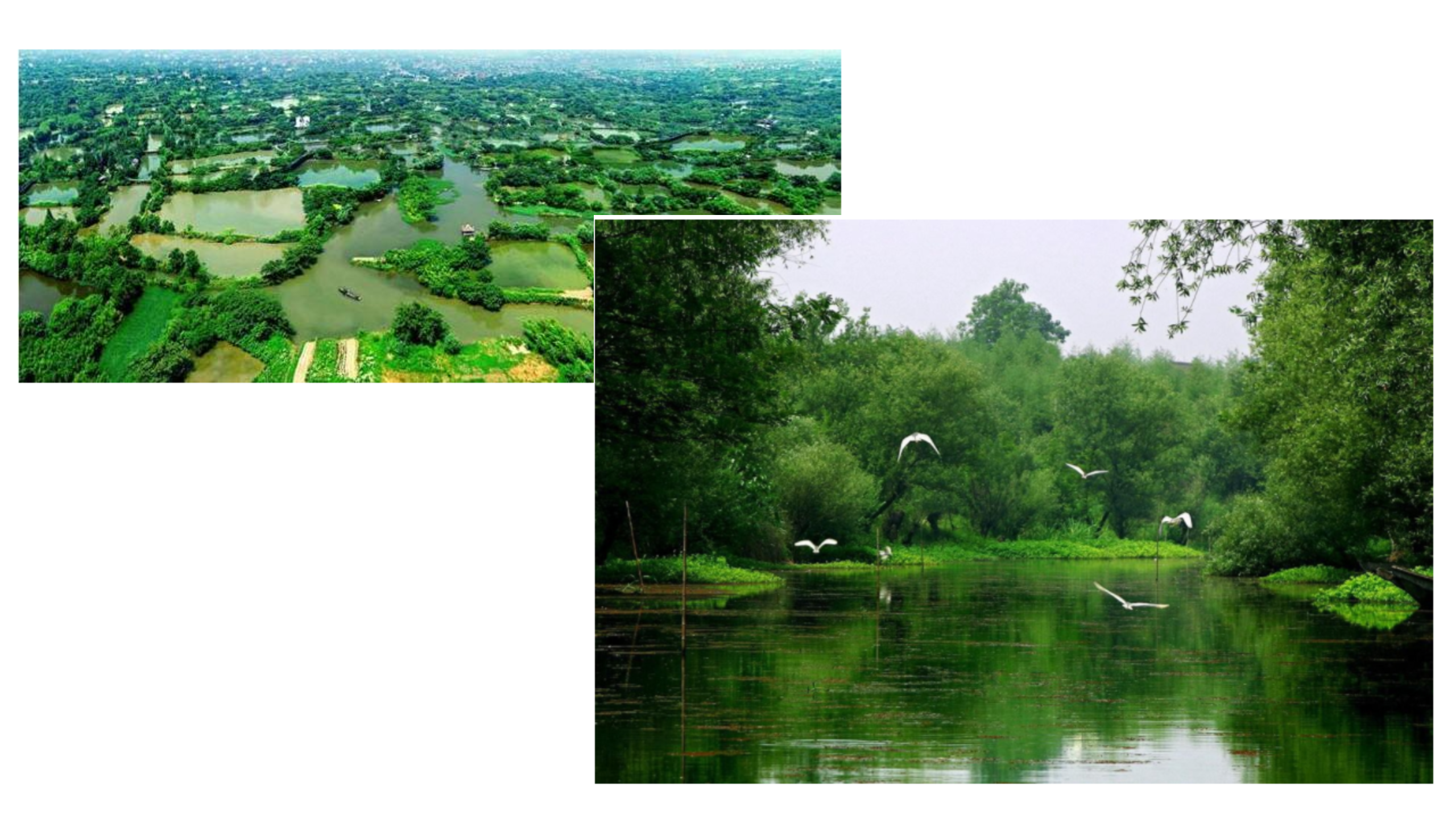 阿米巴经营实战_ITIL之家(www.itilzj.com)_.PPTX 第9页