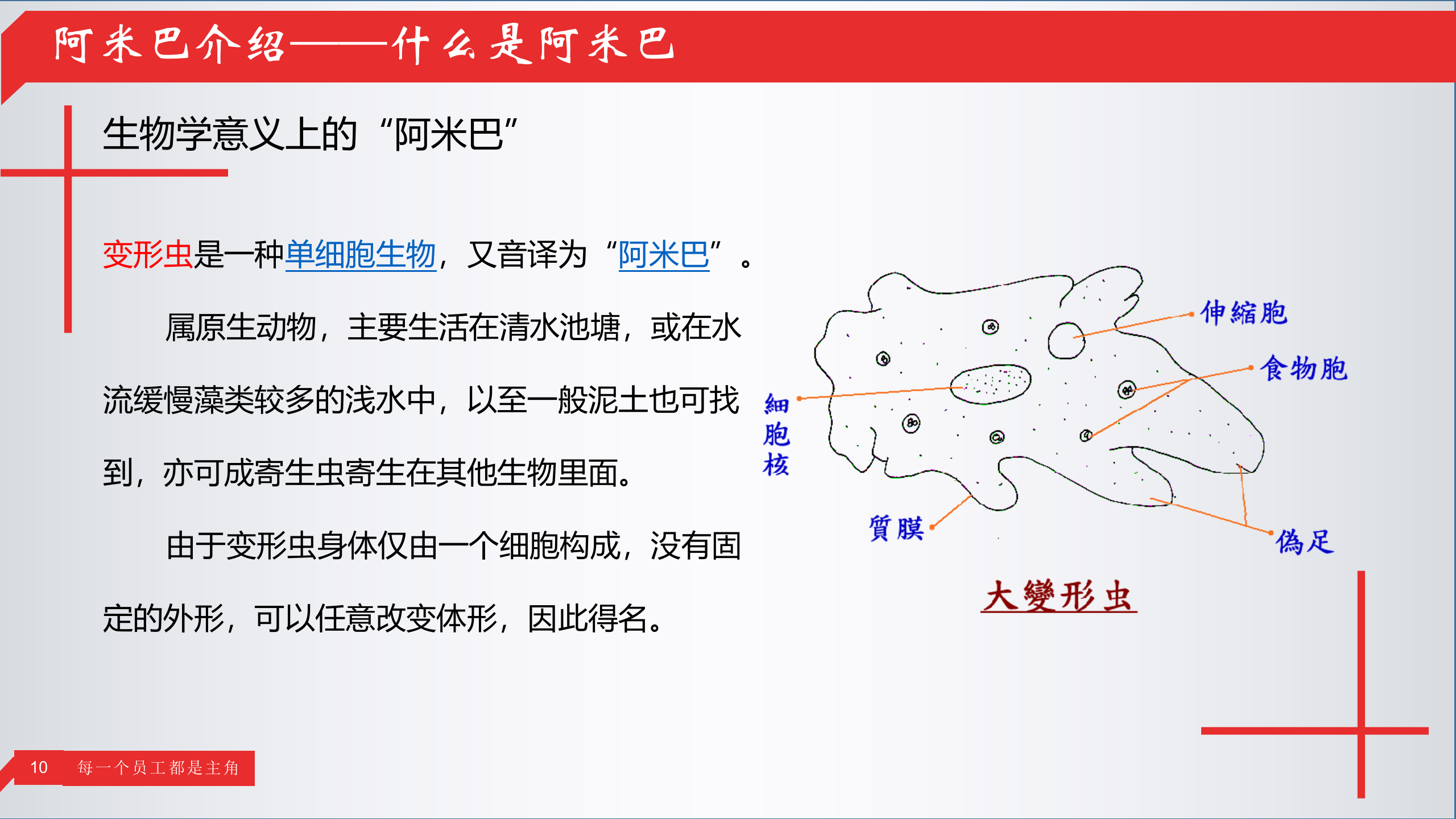 阿米巴经营完结版_ITIL之家(www.itilzj.com)_.PPT 第10页