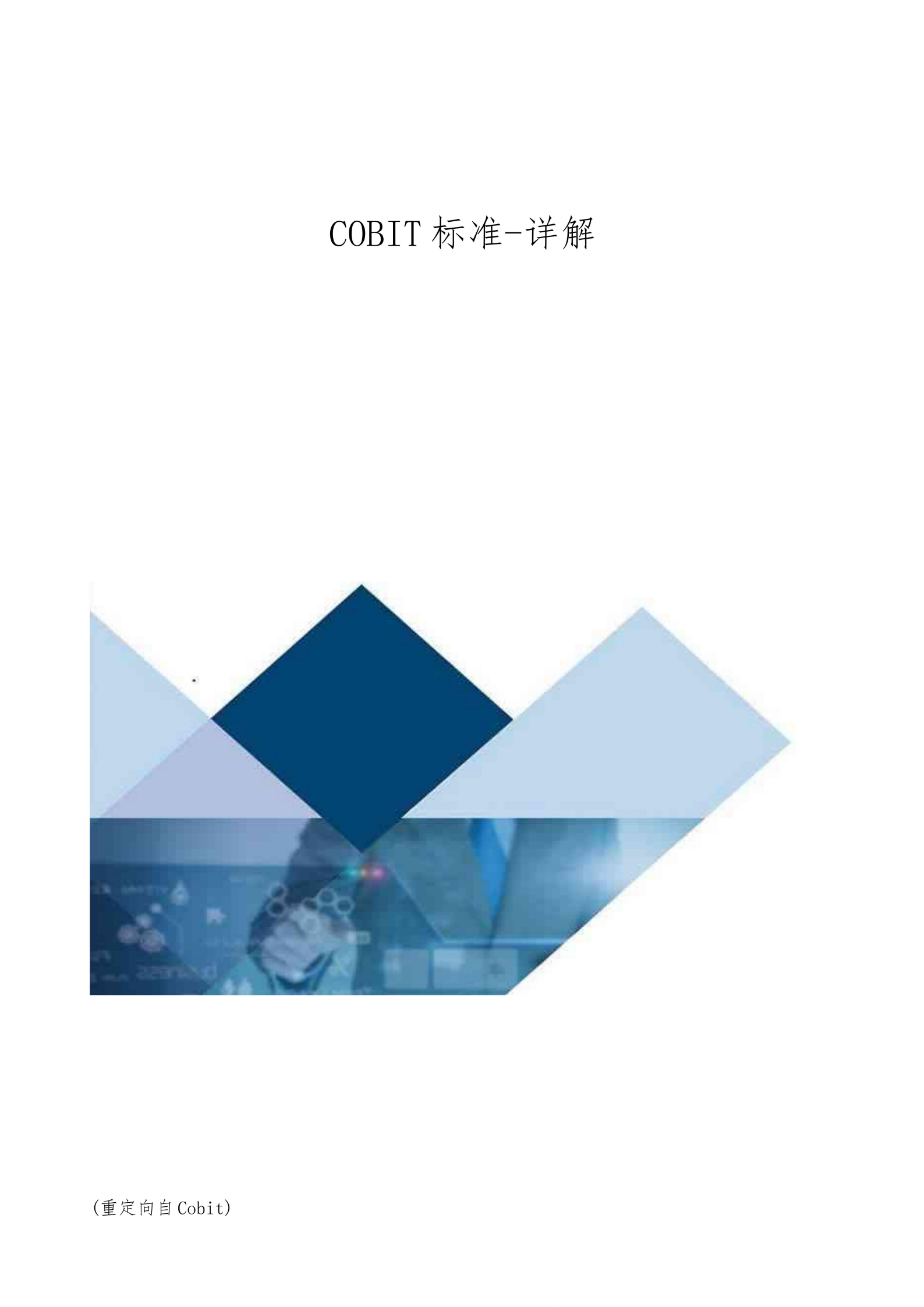 COBIT标准-详解.pdf 第1页