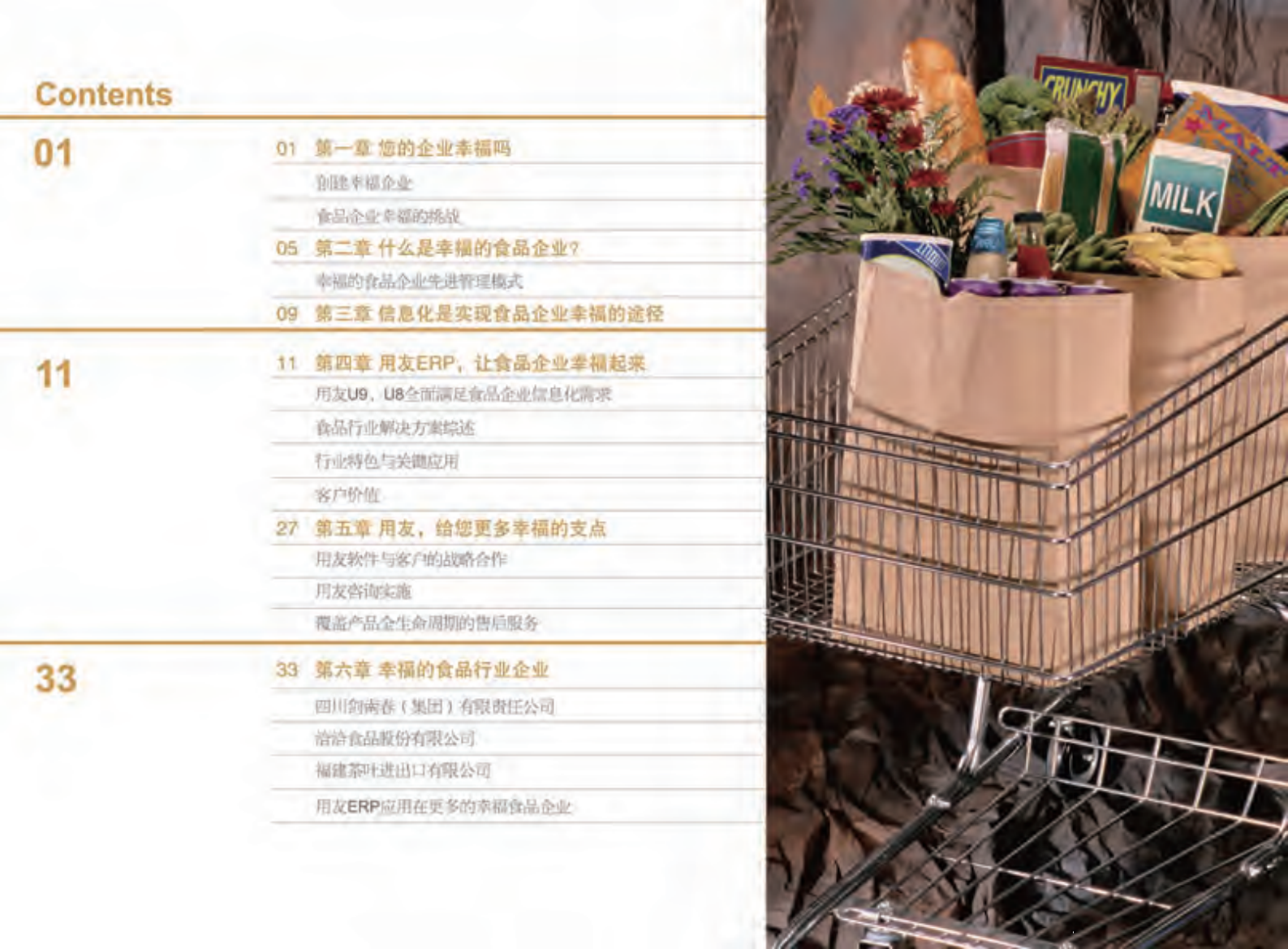 用友世界级食品行业全面信息化解决方案_ITIL之家(www.itilzj.com)_.PDF 第3页