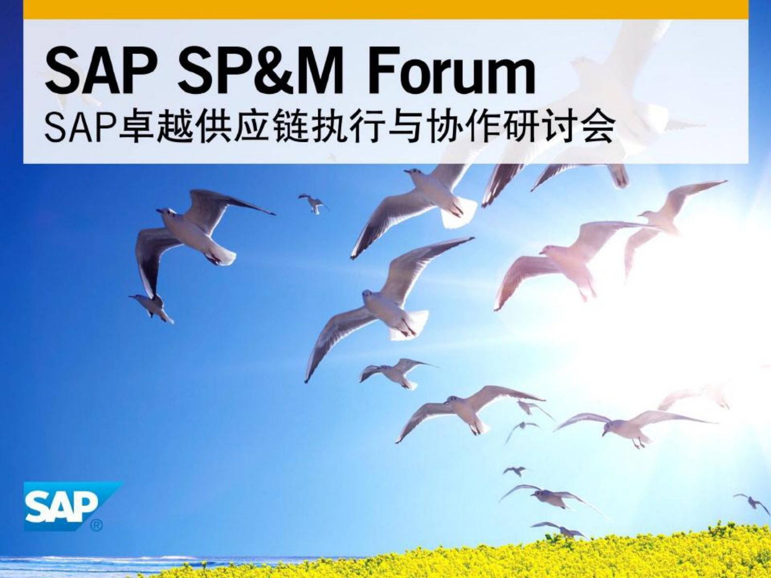 SAP扩展仓库管理解决方案_ITIL之家(www.itilzj.com)_.PDF 第1页