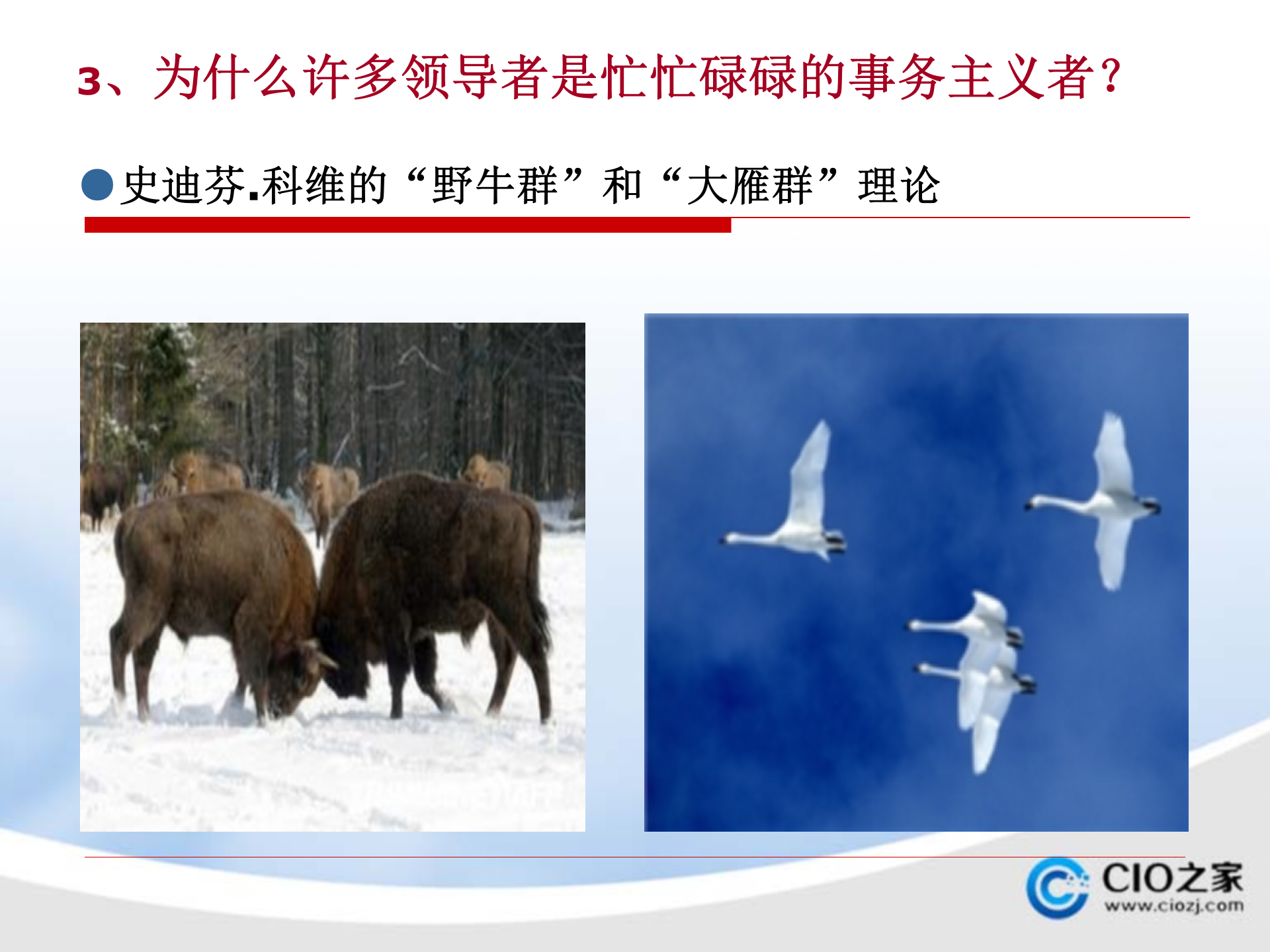 领导力开发与提升_ITIL之家(www.itilzj.com)_.PPTX 第6页