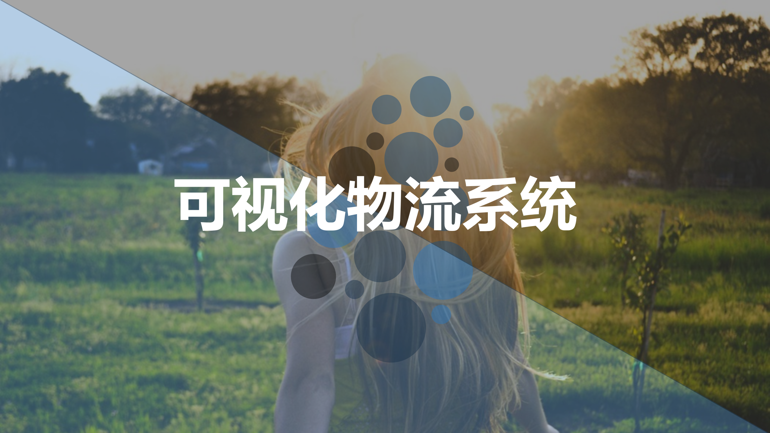 智慧物流综合解决方案_ITIL之家(www.itilzj.com)_.PPTX 第10页