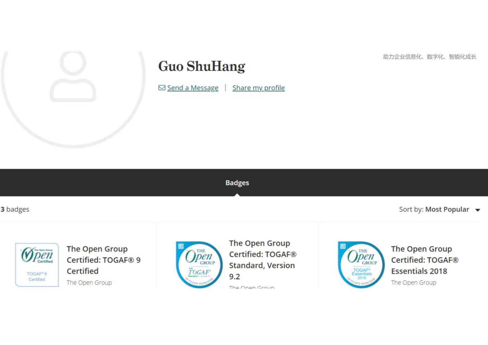 企业it架构培训1-企业架构导论 第3页
