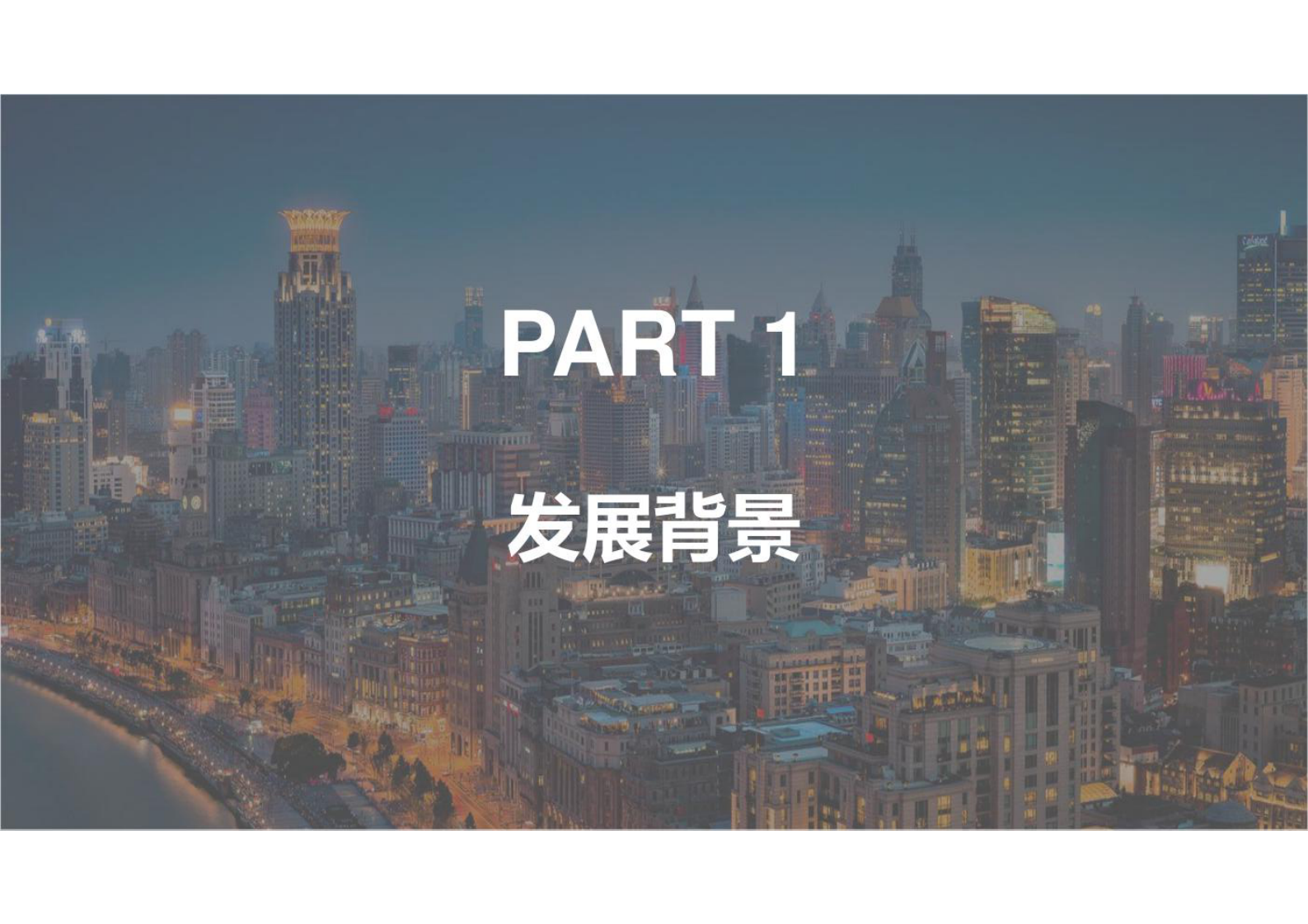 政务公共数据治理实践经验 第3页