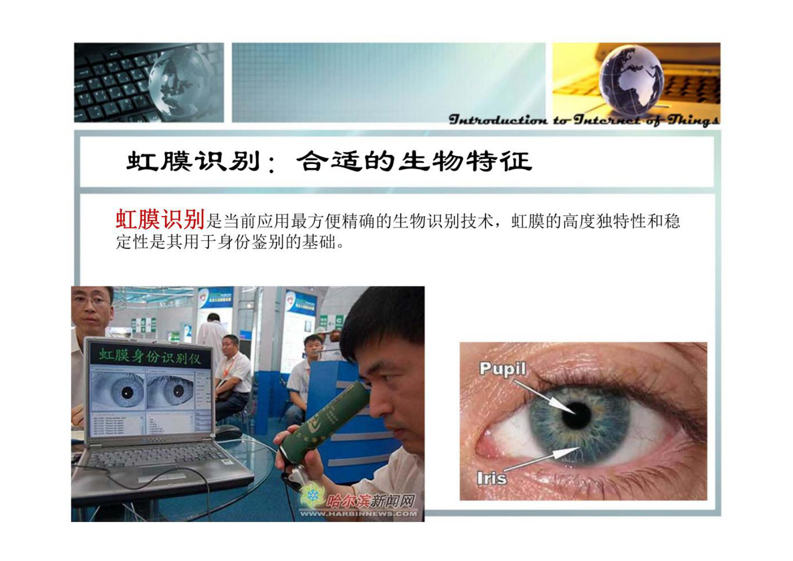 自动识别技术与RFID 第5页