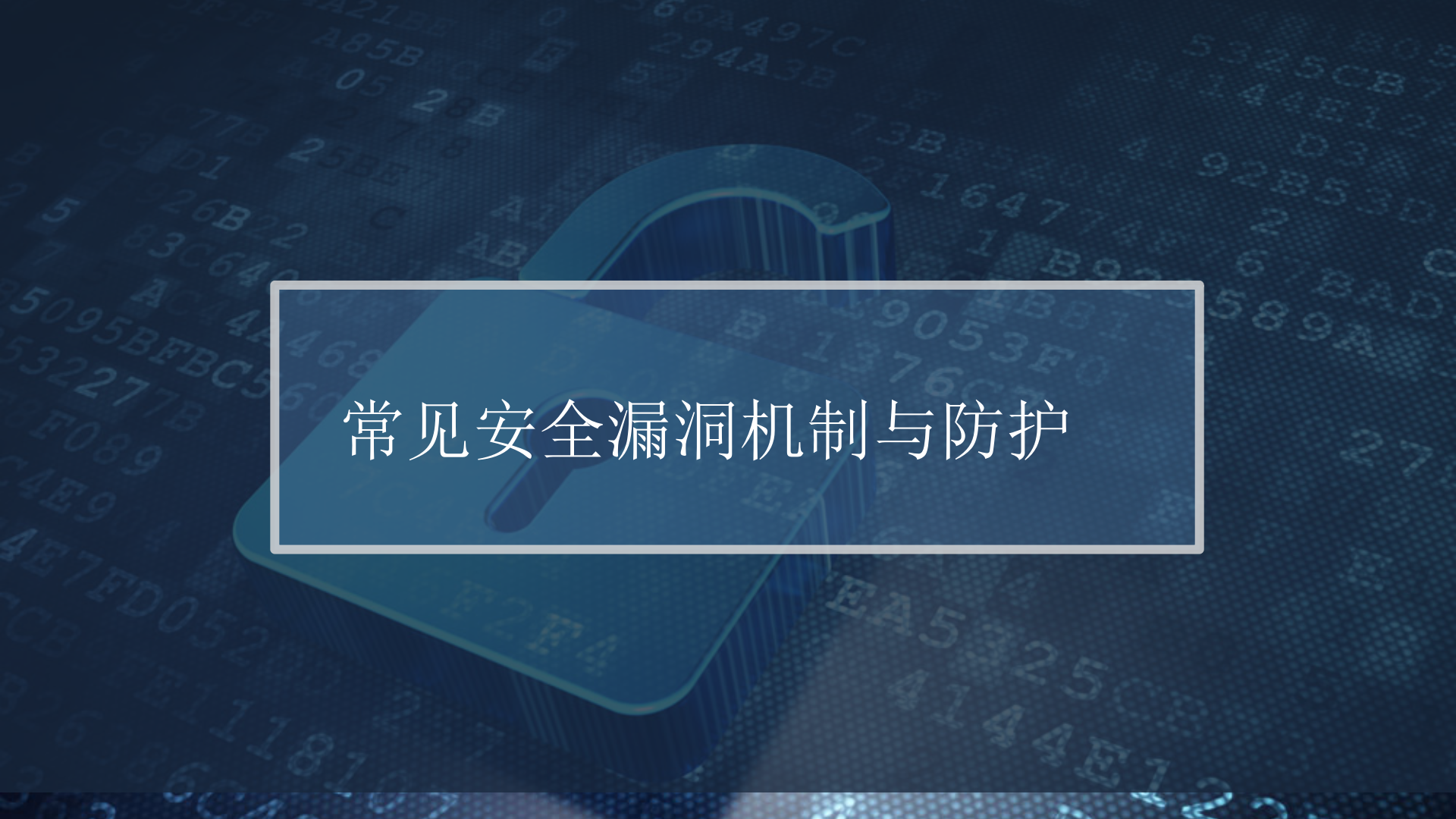 常见安全漏洞机制与防护 第1页