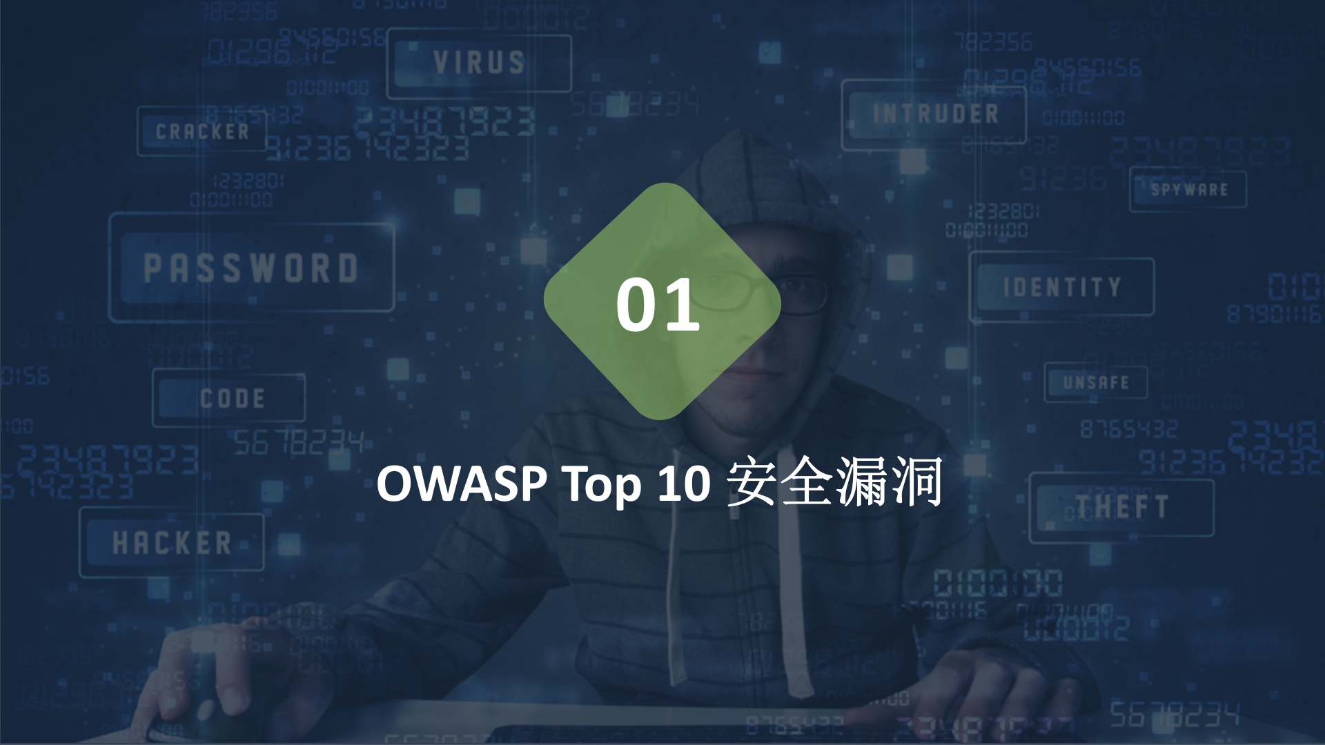 常见安全漏洞机制与防护 第3页