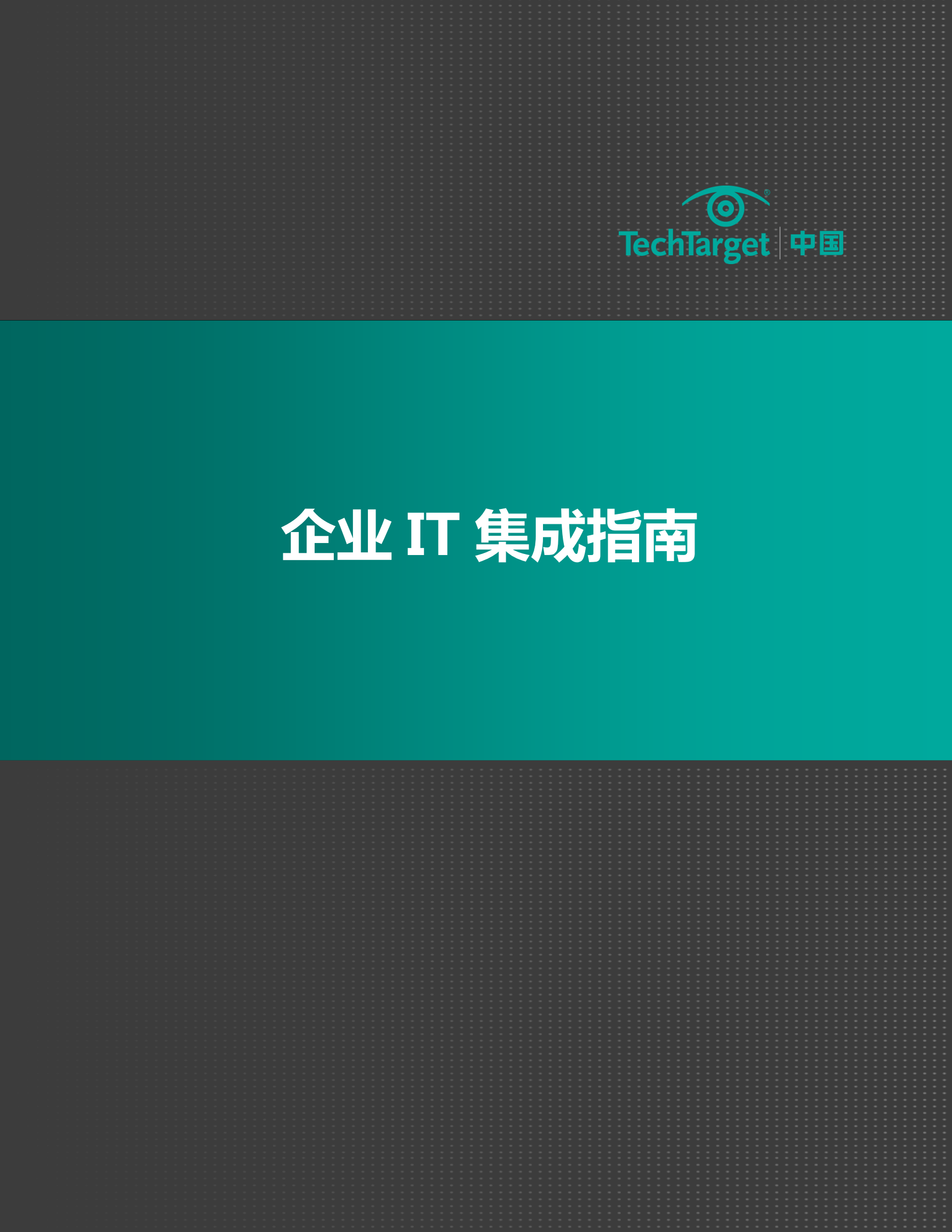 企业IT集成指南 第1页