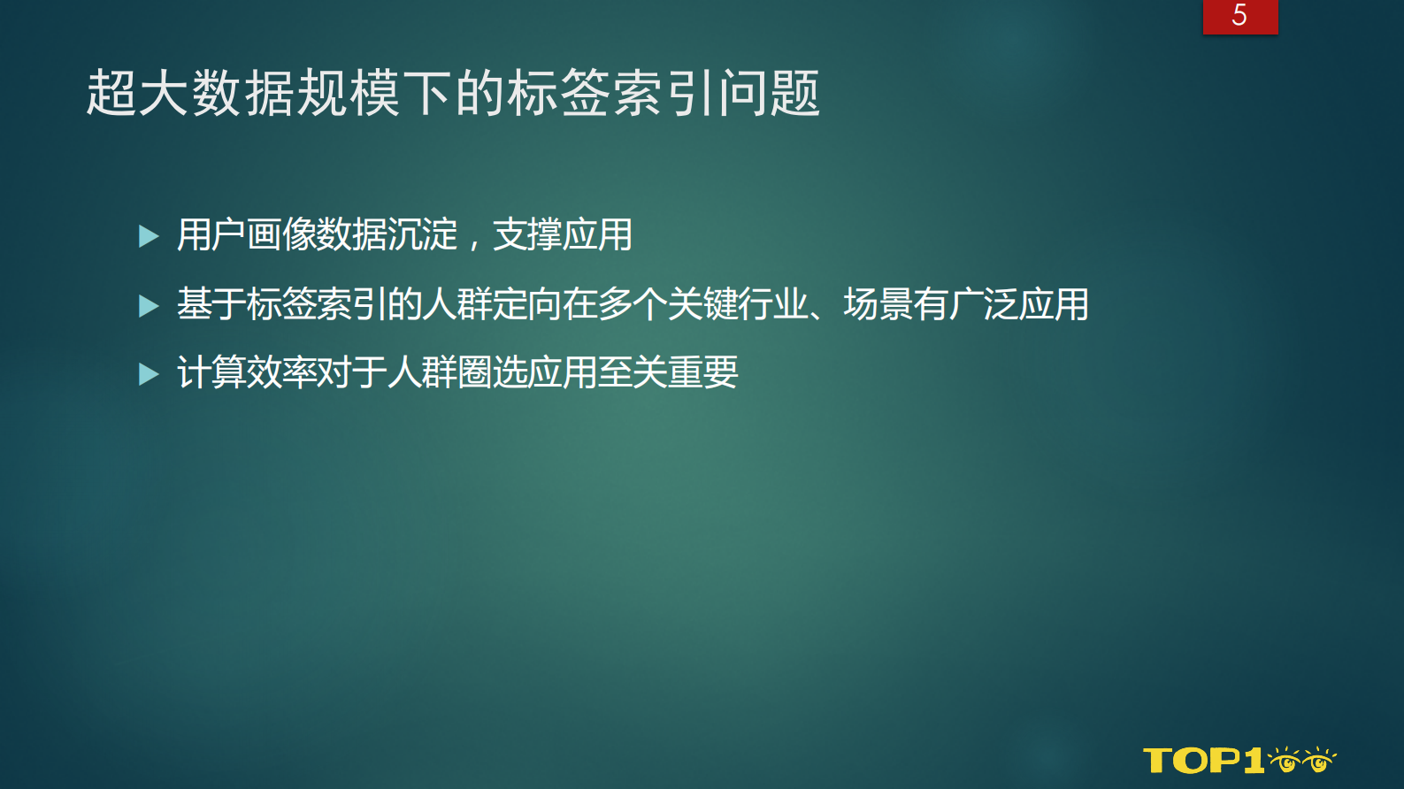 Doris的用户画像人群应用-会议组 第5页