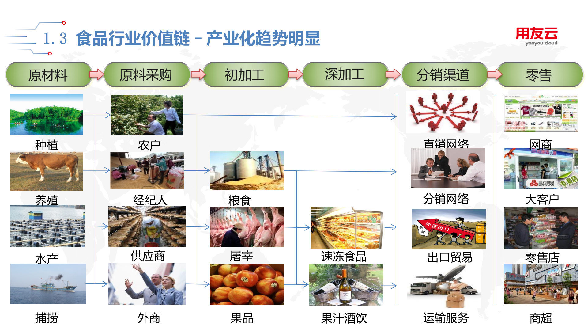 【精品】2019用友U8+食品行业全面解决方案 第6页