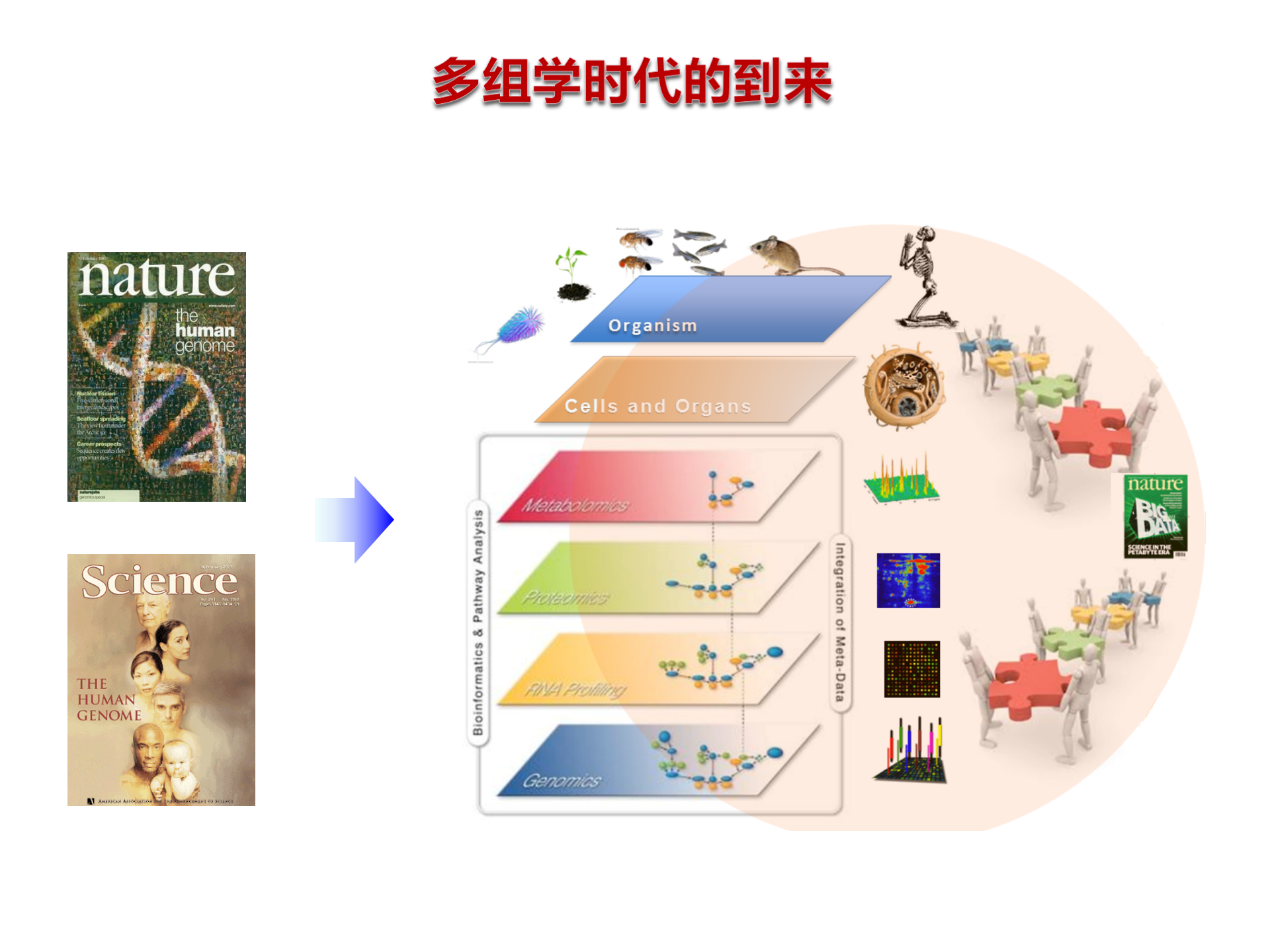 5、舒文杰：基于人工智能的基因组自动注释-2018.09——ITIL之家-www.itilzj.com 第7页