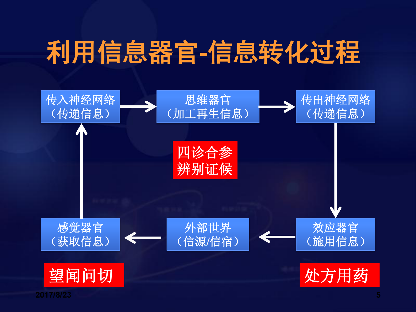 智慧中医的思考与实践 第5页