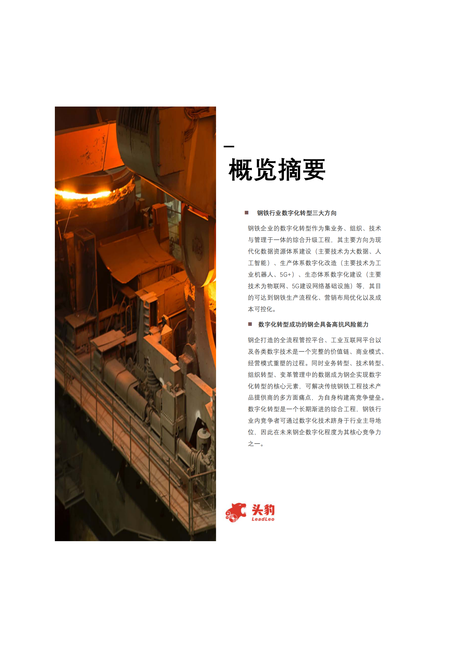 2021年中国钢铁行业数字化转型短报告_IT管理知识库wenku.itilzj.com 第4页