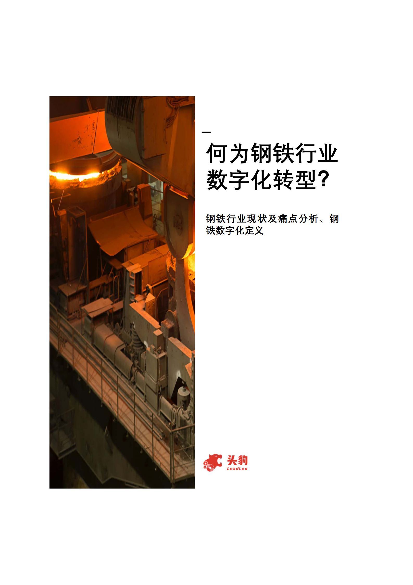 2021年中国钢铁行业数字化转型短报告_IT管理知识库wenku.itilzj.com 第9页