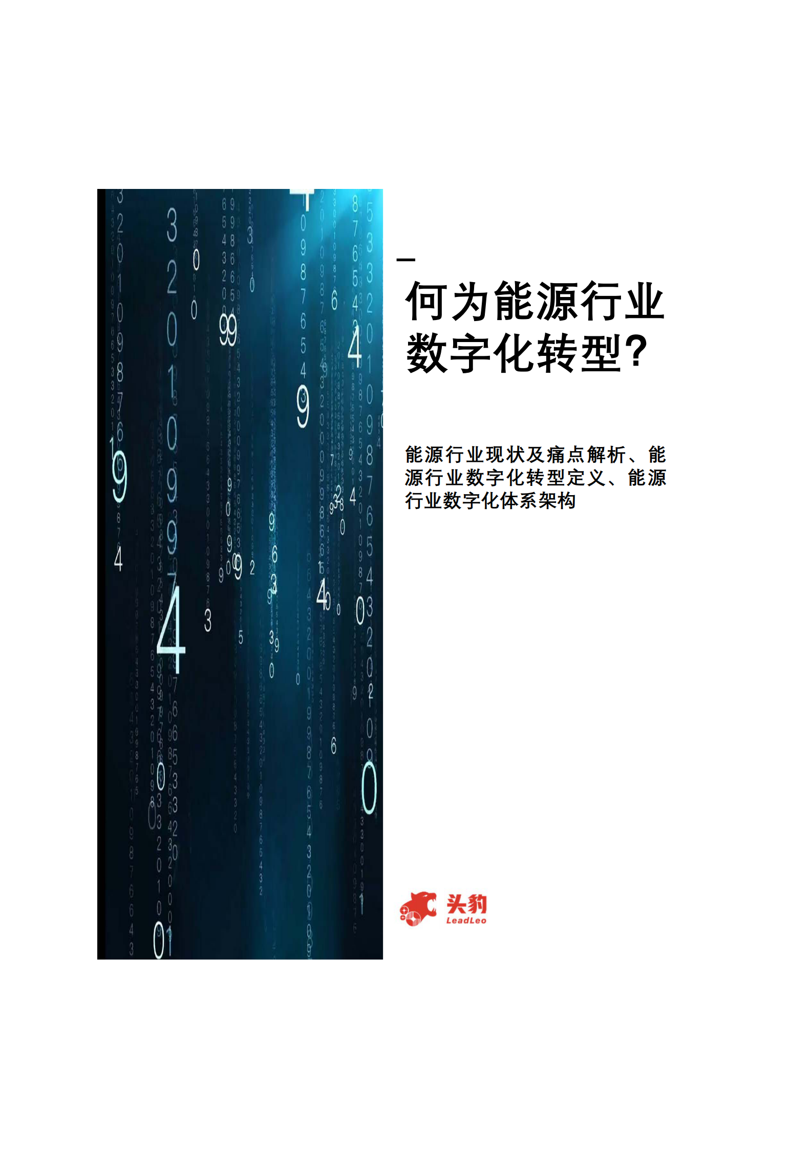 2021年中国能源行业数字化转型趋势_IT管理知识库wenku.itilzj.com 第9页
