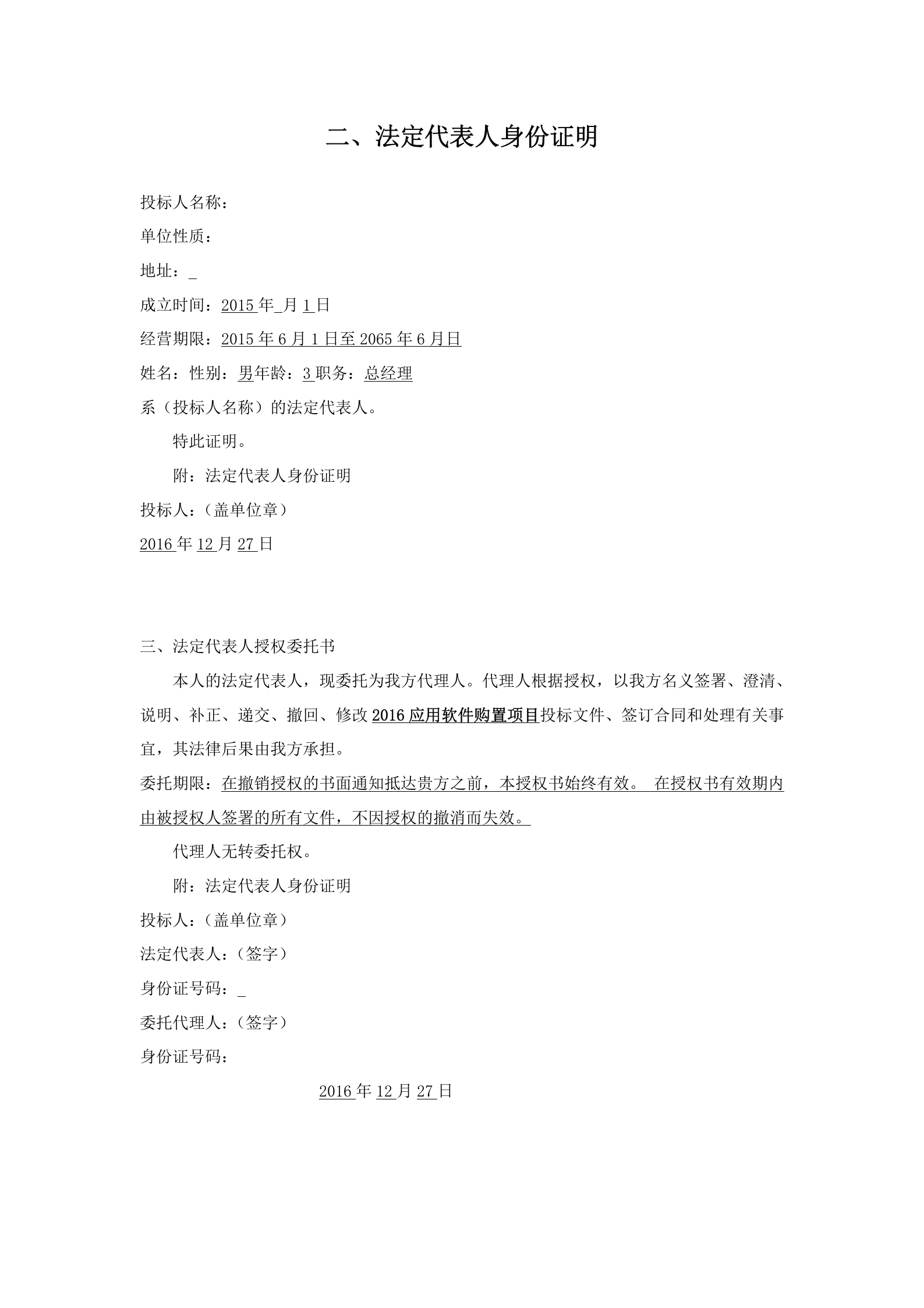 16软件项目投标文件模板-商务技术标 第6页