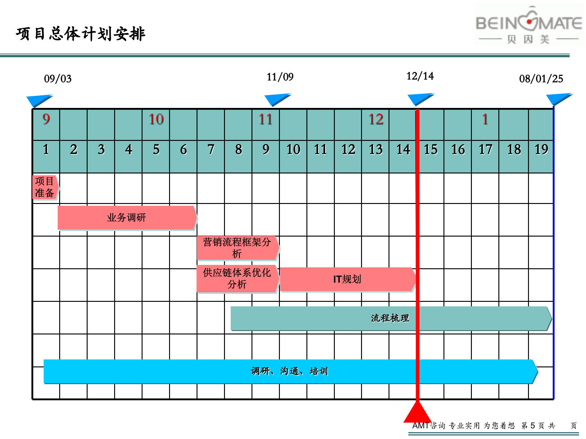 贝因美_管理信息化项目_IT规划报告V2.3 第5页