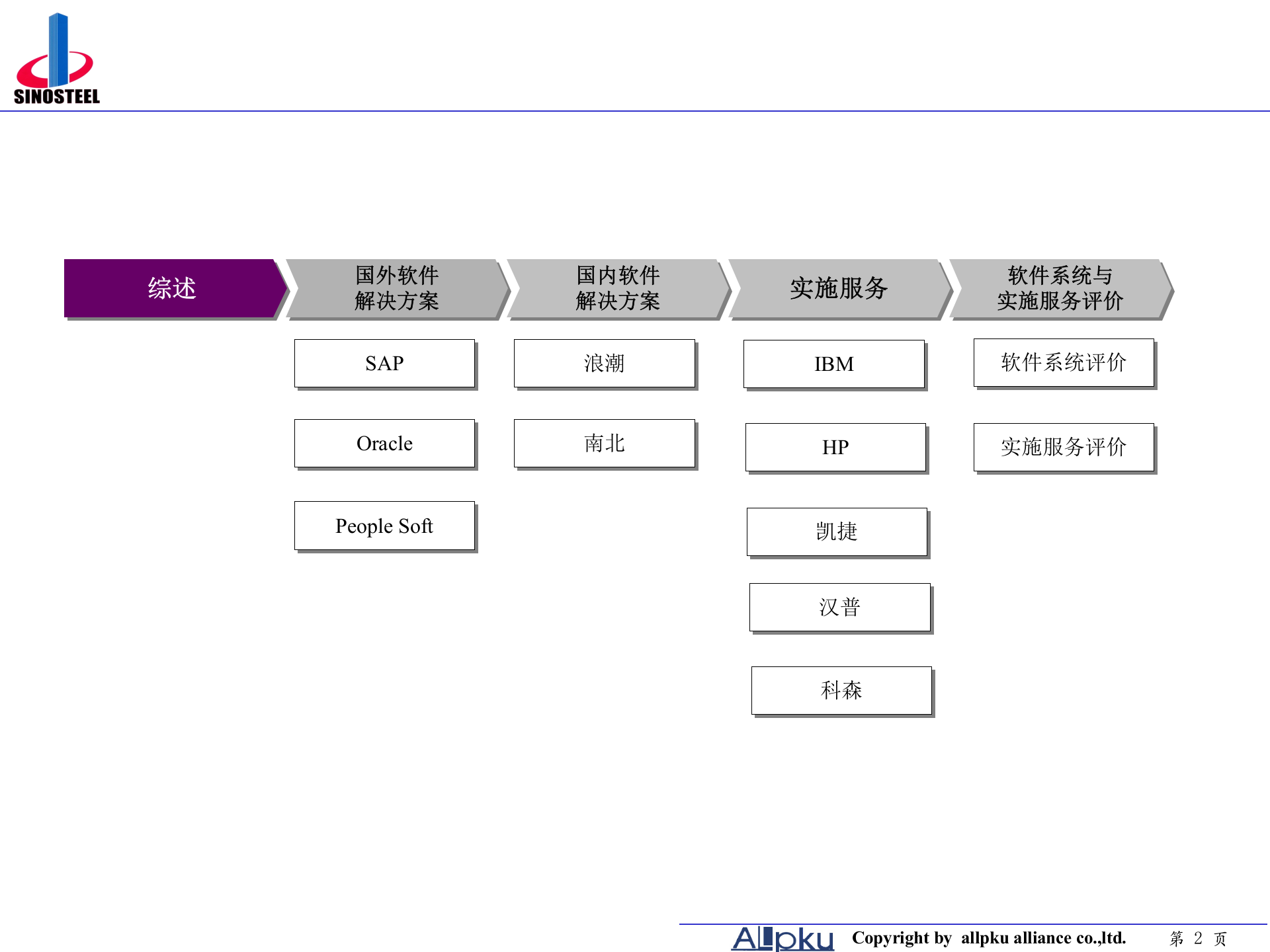 中钢集团辅助选型报告 第2页