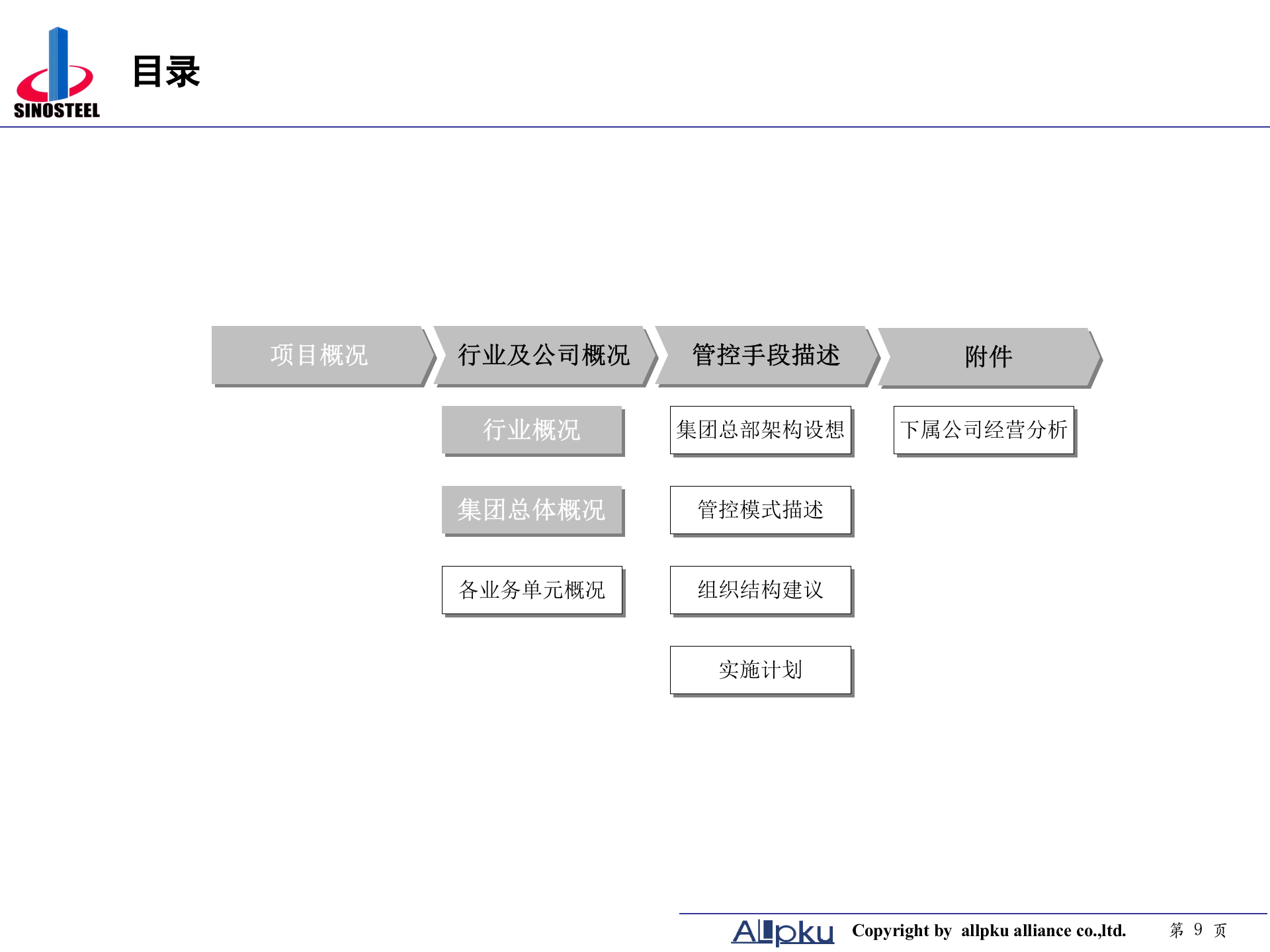 中钢集团项目管理模式报告-终稿 第9页