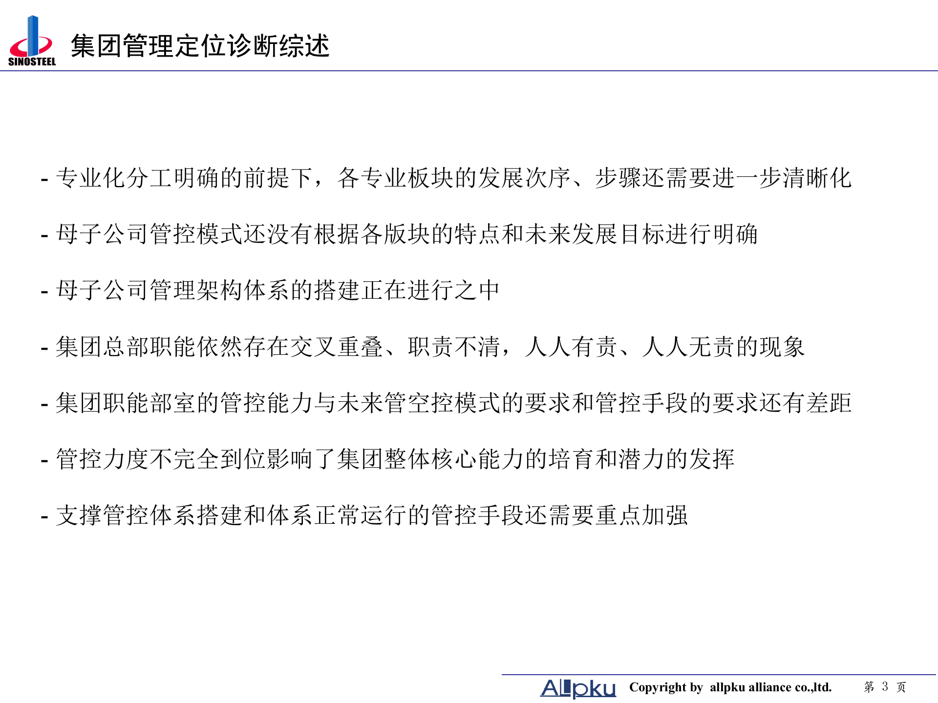 中钢集团项目诊断报告-终稿 第3页