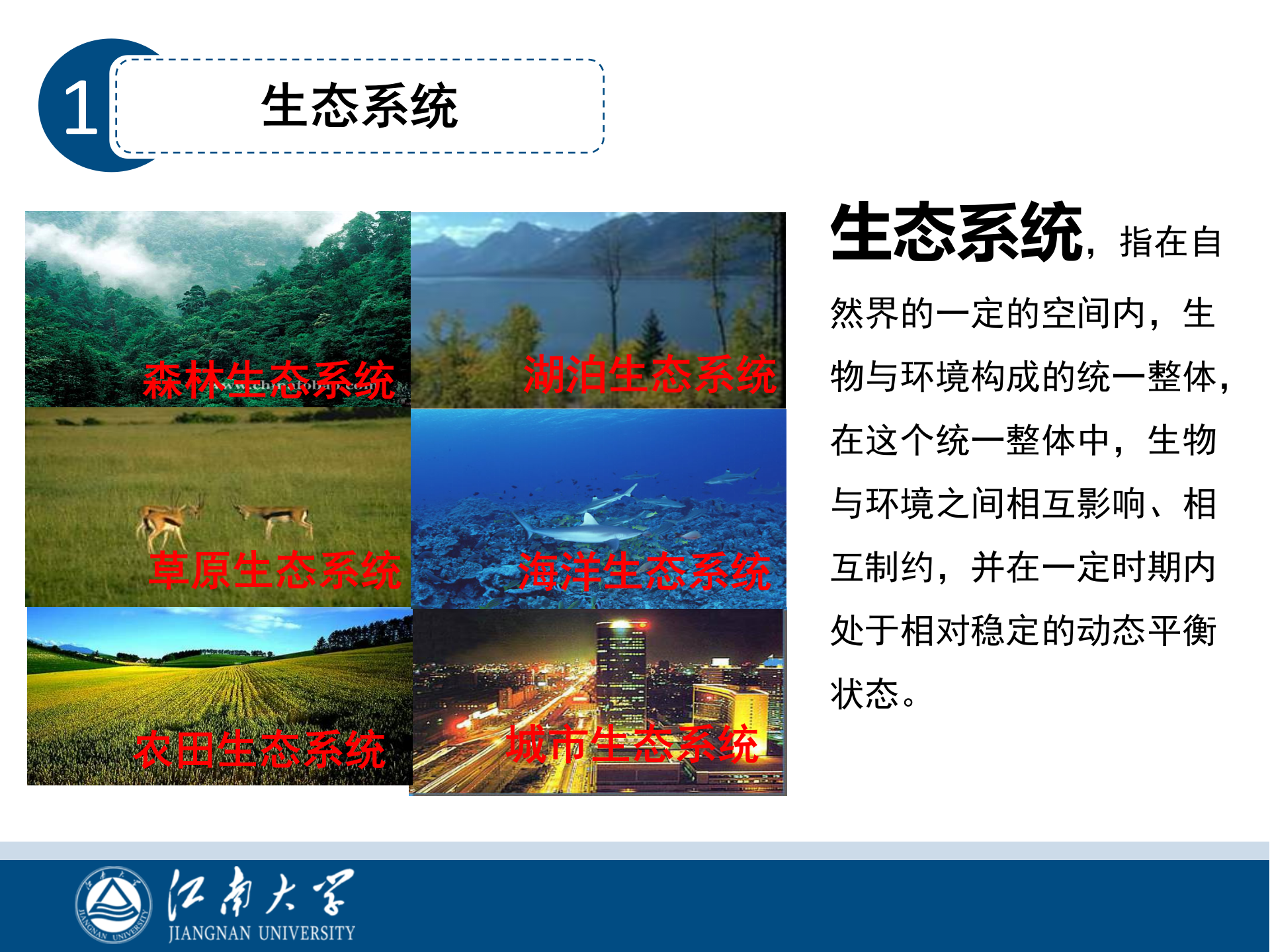 生态系统视角下的智慧校园建设方案 第10页