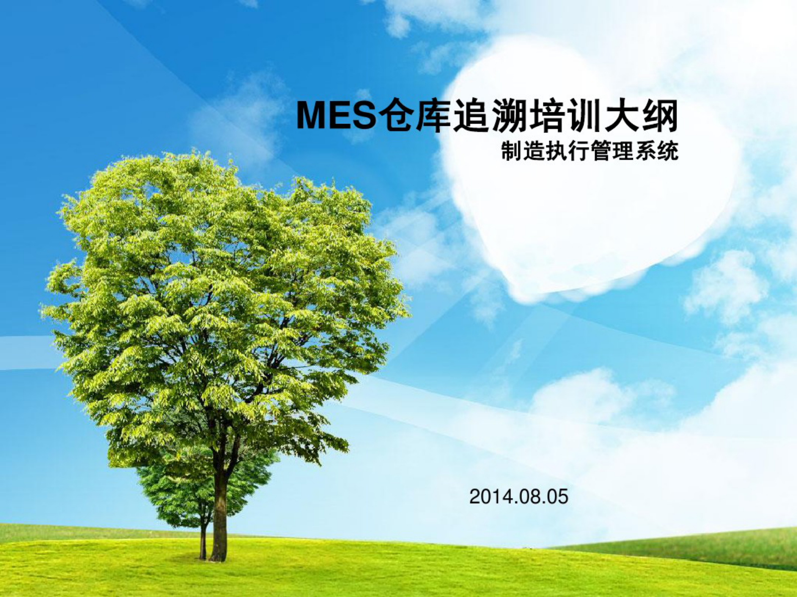 MES异常分析 第1页