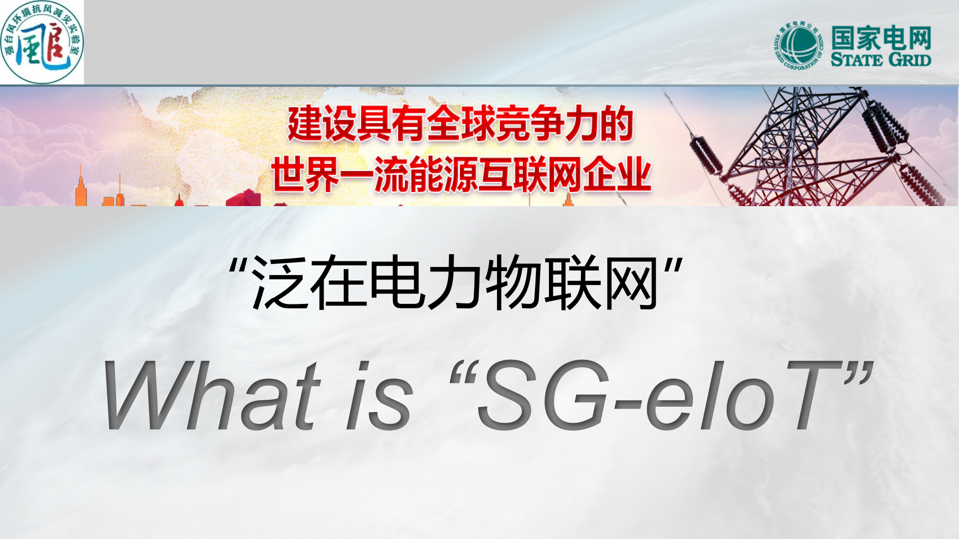 【精品】面向泛在电力物联网建设的强风环境电网灾害预警与防治 第6页