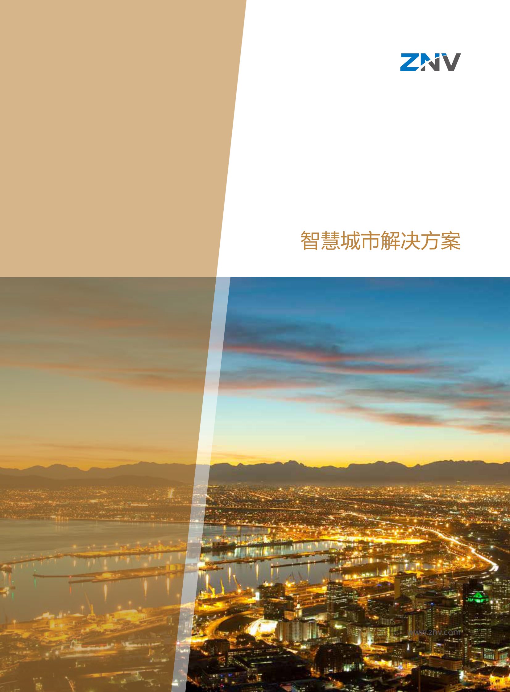 中兴力维智慧城市解决方案 第1页