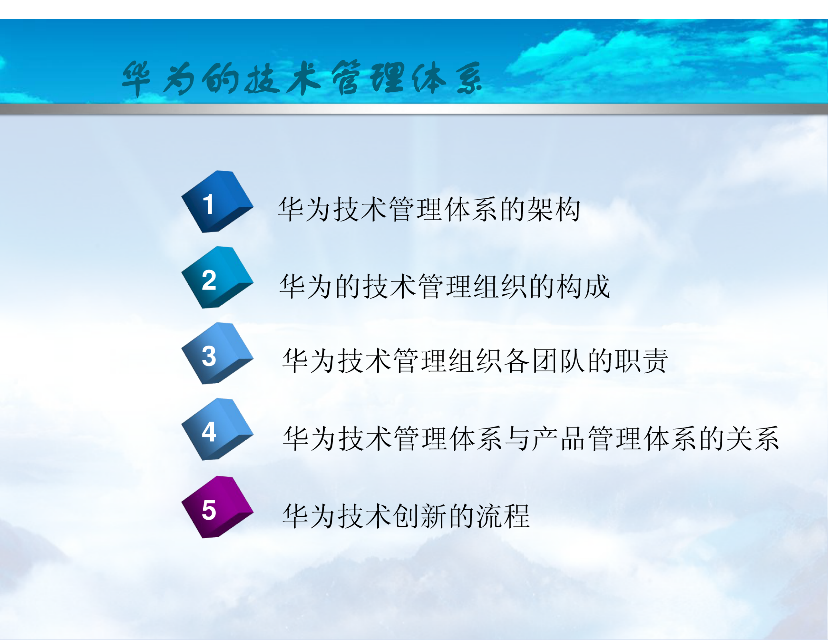 华为的技术管理体系 第1页