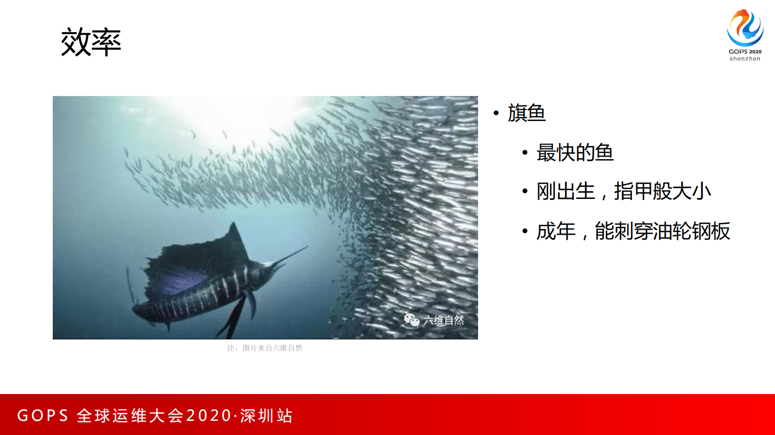 研发高速通路的演进和实践 第6页