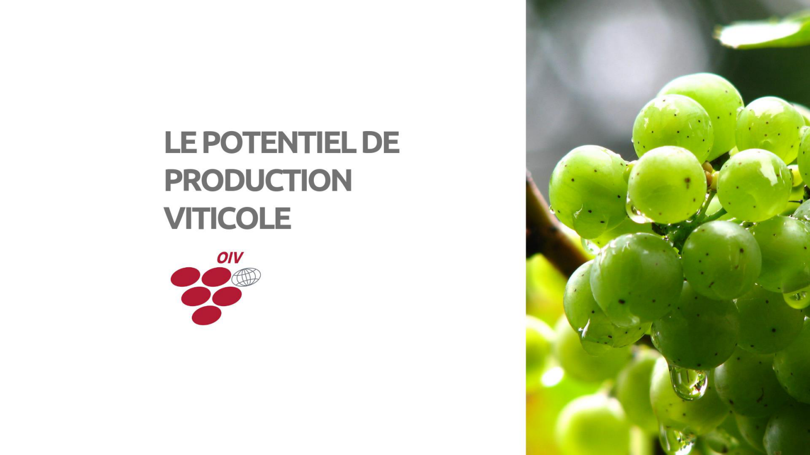 2019年葡萄酒贸易报告（英文）-23页 第3页