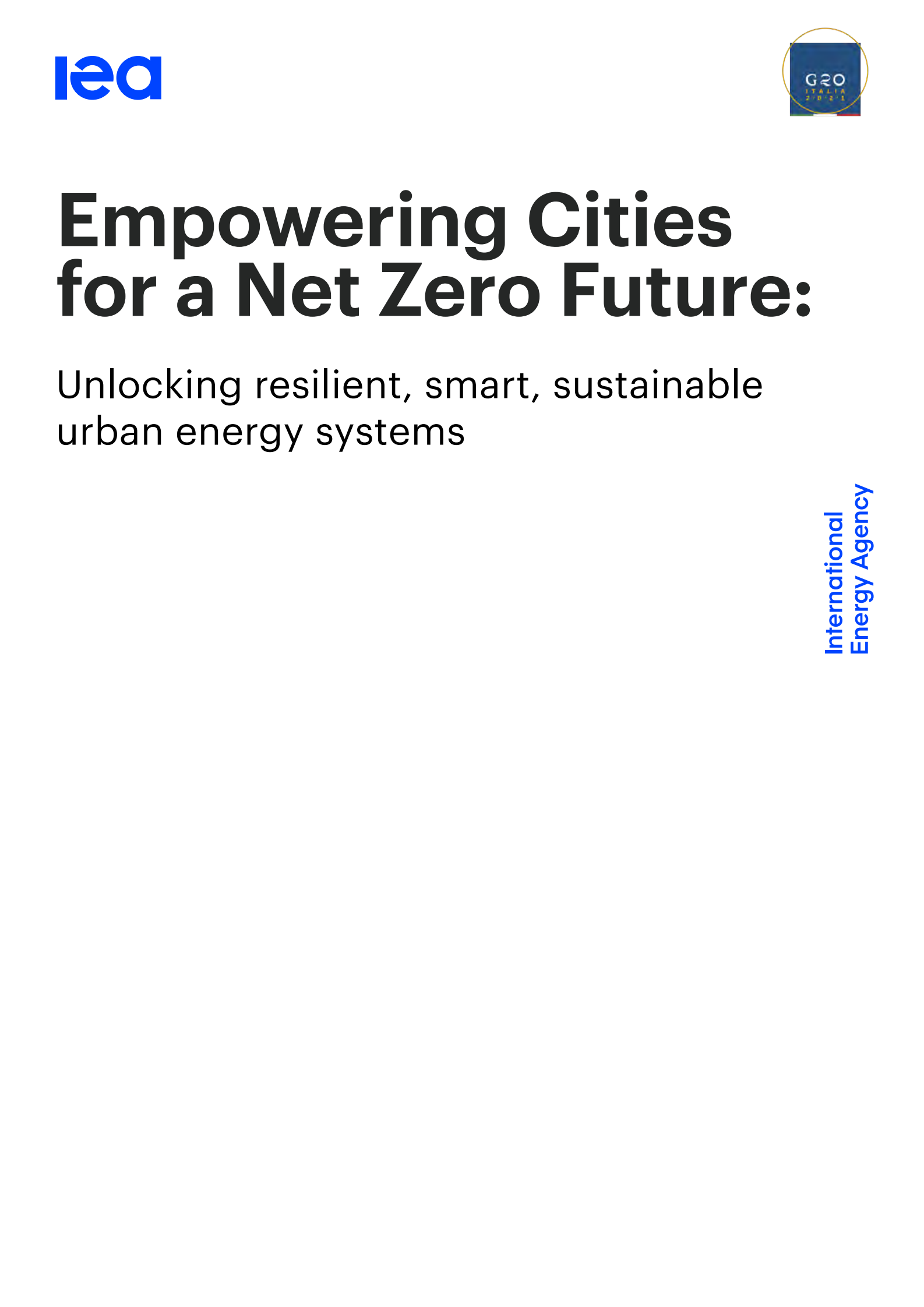 国际能源署-赋予城市权力，实现净零未来（英）-2021.7 第2页