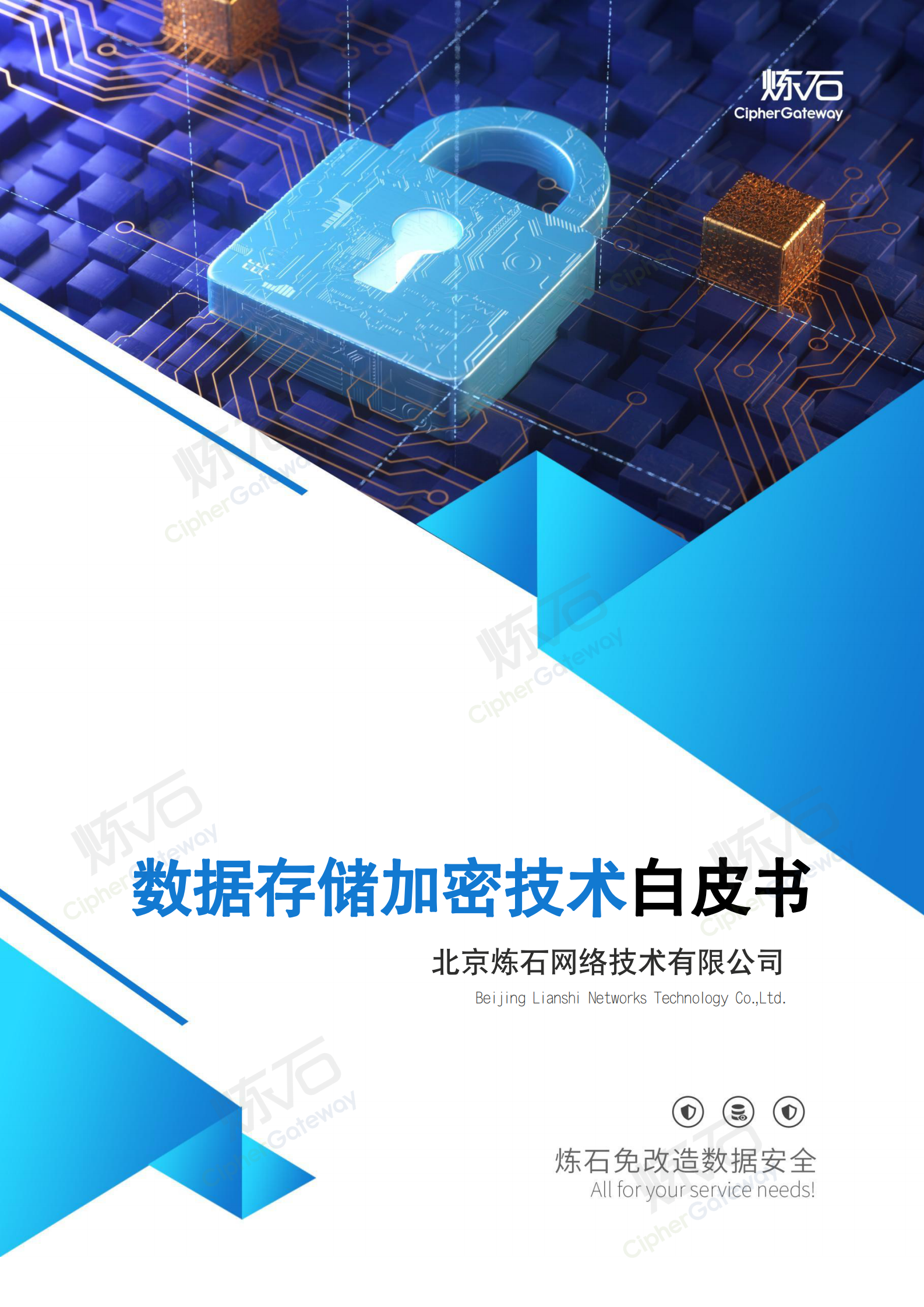 炼石-数据存储加密技术白皮书V1.1 第1页