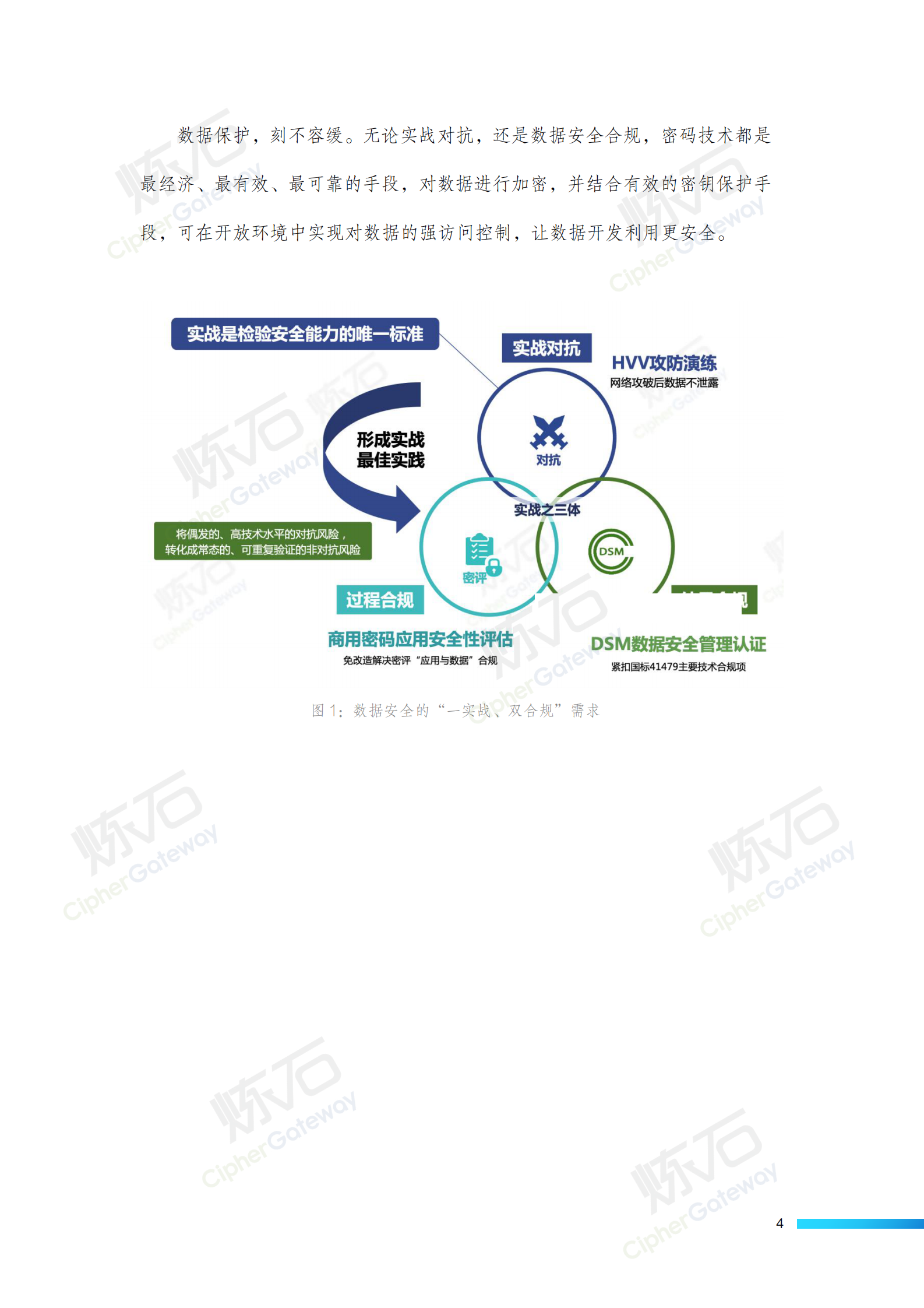 炼石-数据存储加密技术白皮书V1.1 第4页