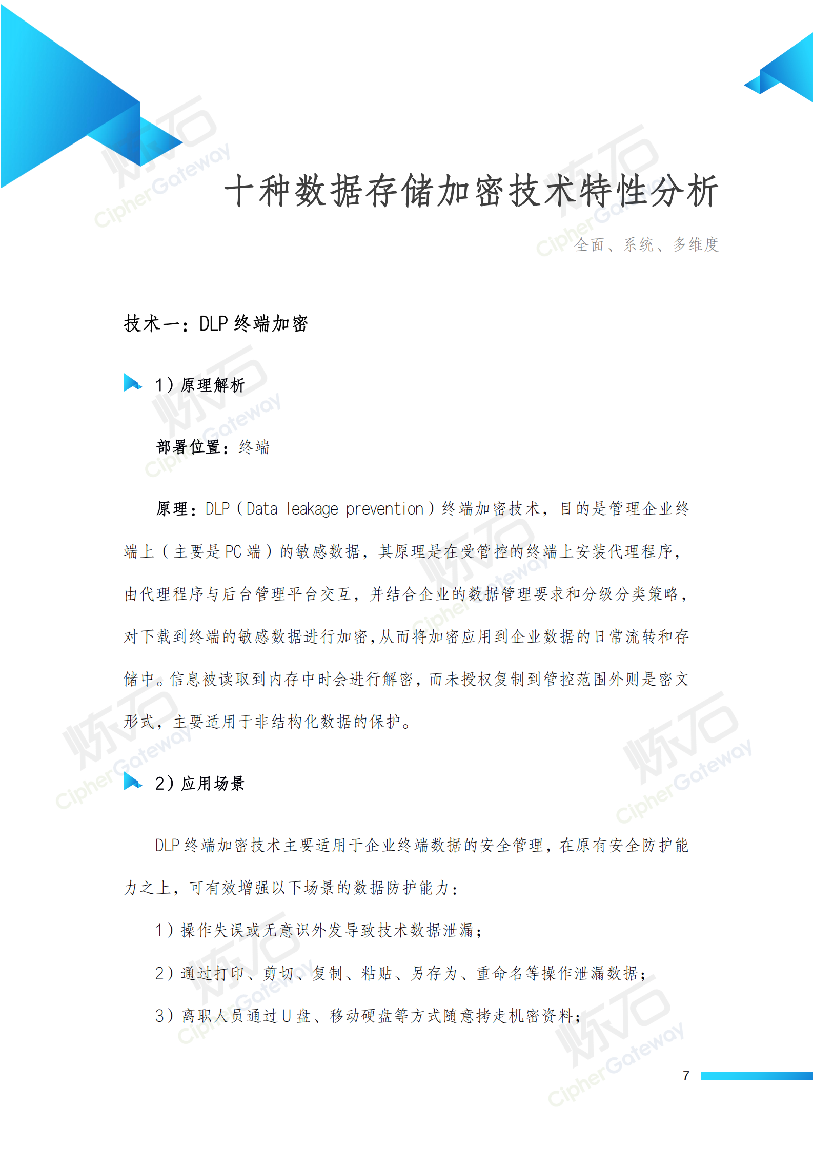 炼石-数据存储加密技术白皮书V1.1 第7页